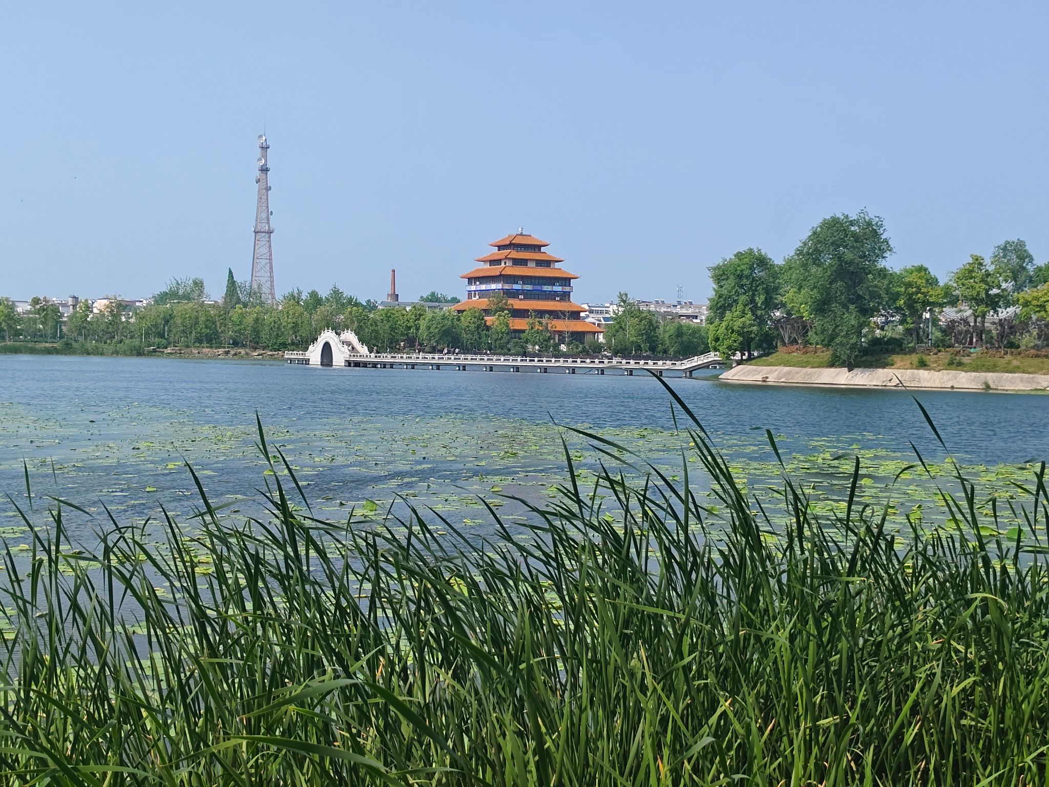 走读淮河文化园