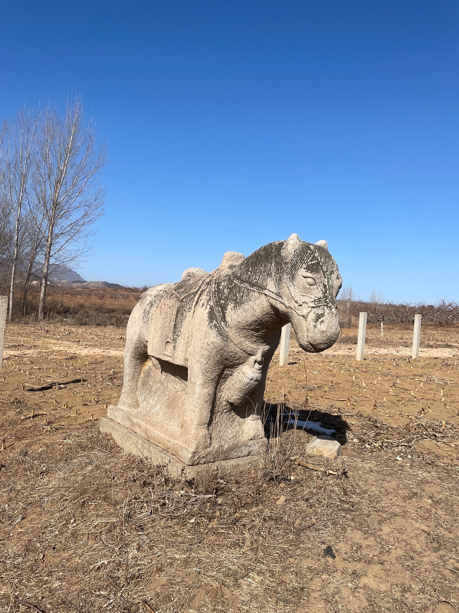 朱梅墓旅行图片