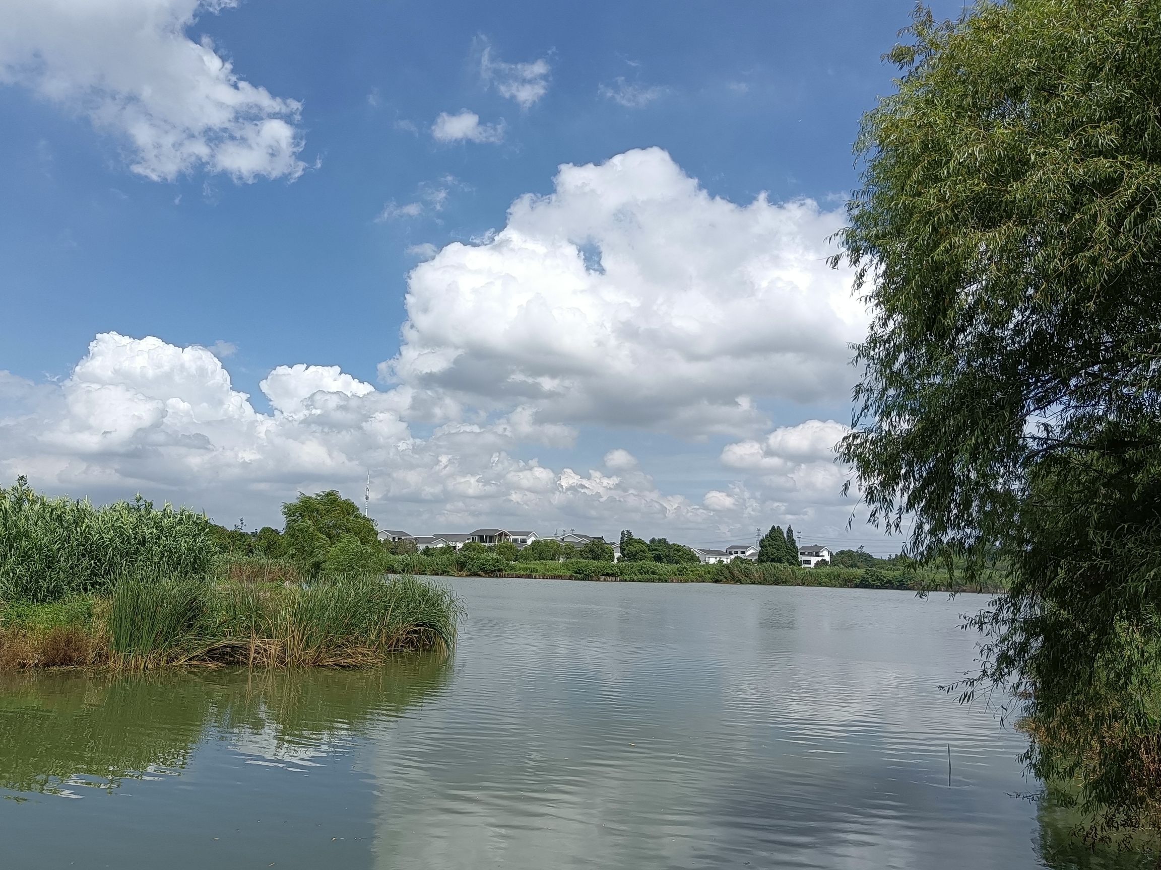 白荡湿地保护区