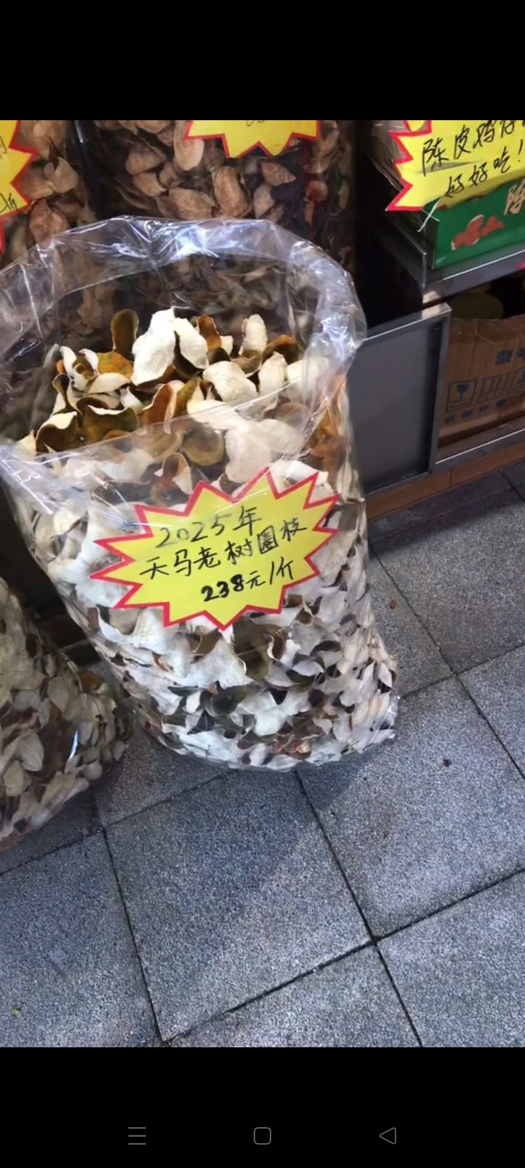 新会陈皮村牌坊旅行图片
