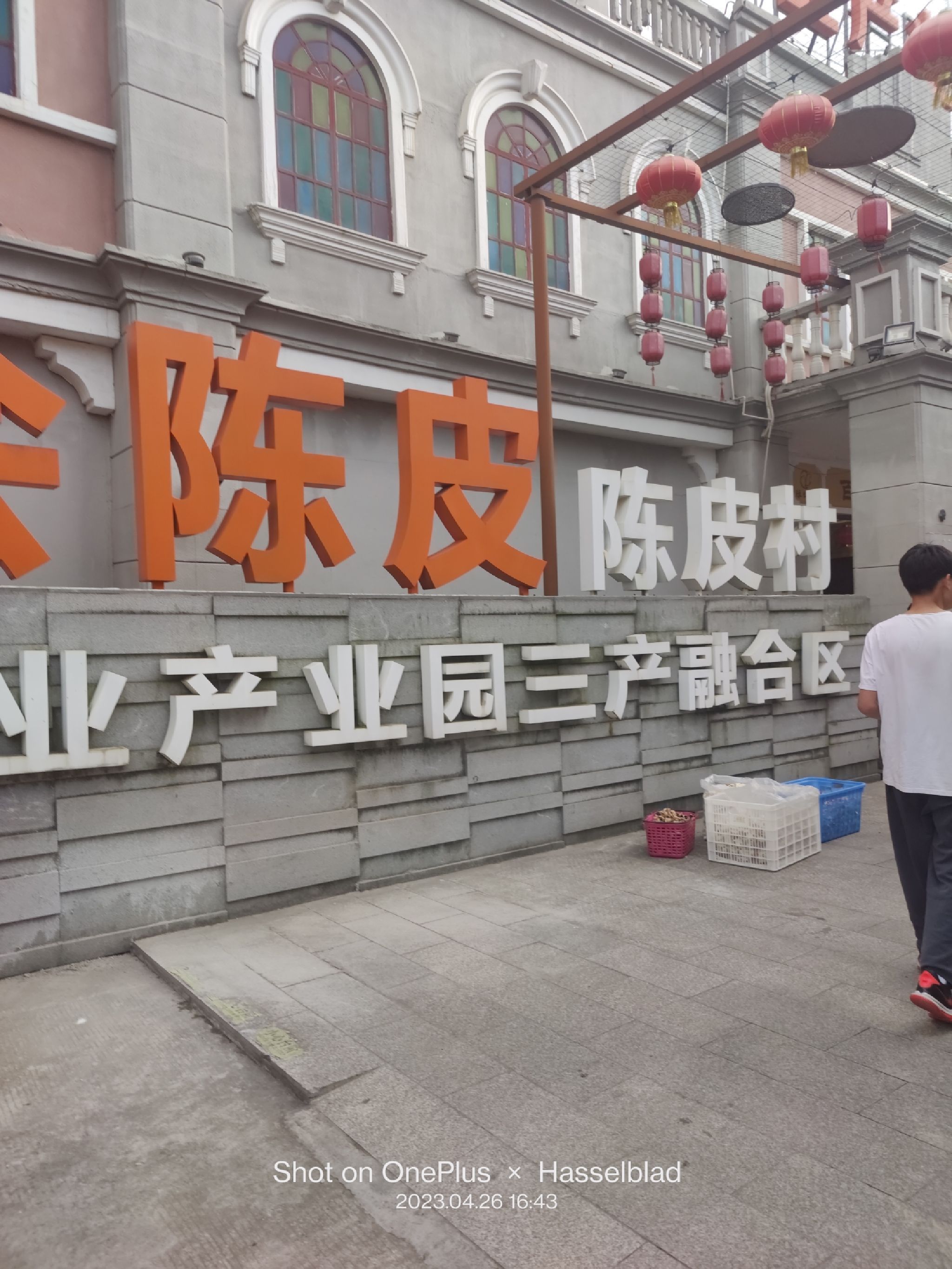 新会陈皮村牌坊旅行图片