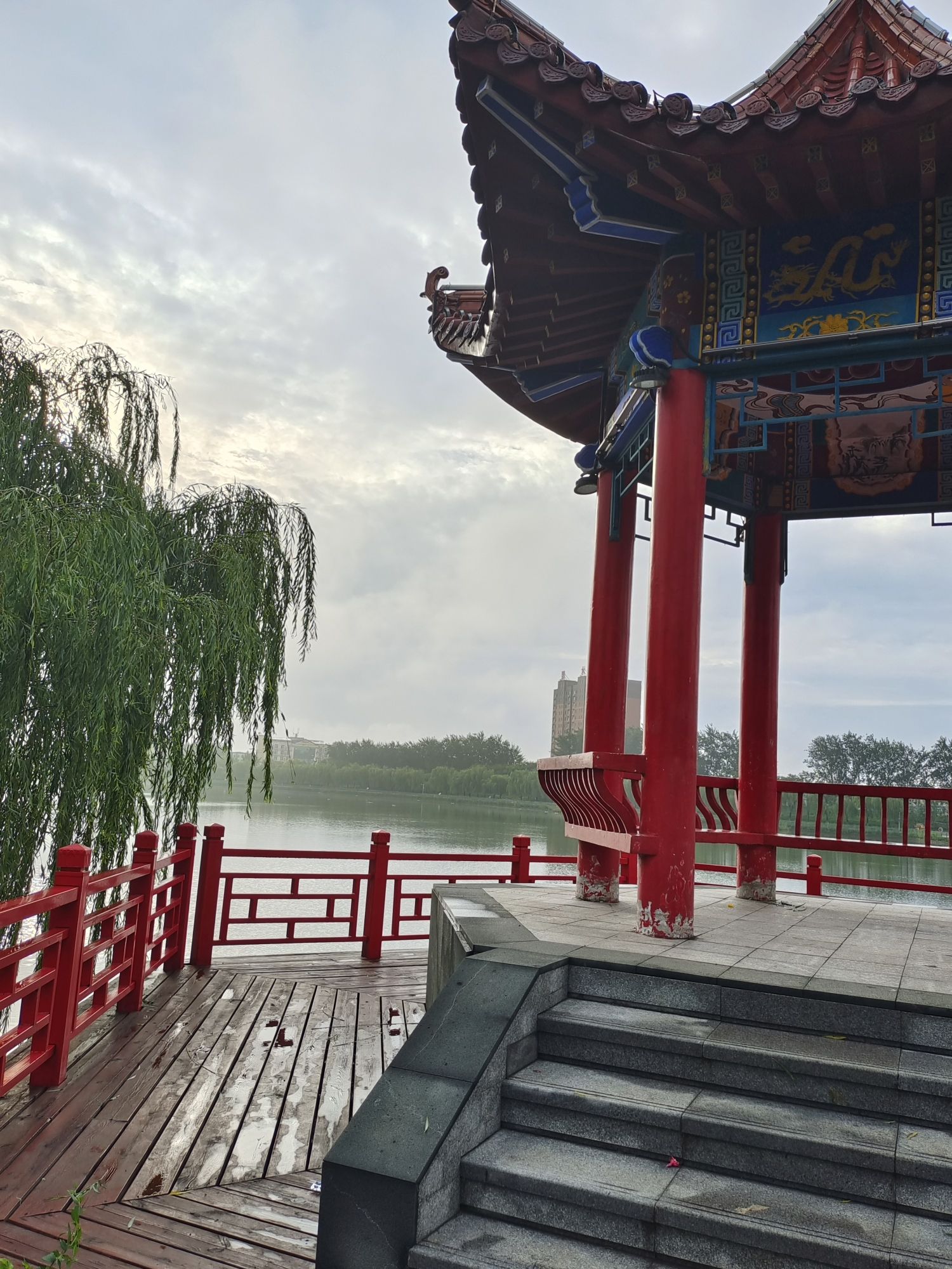 河南台前金水国家湿地公园旅行图片