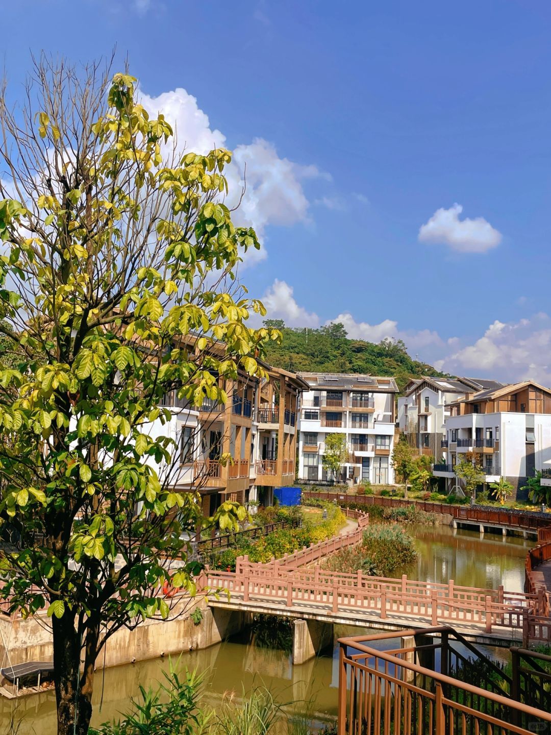 南国乡村·农村综合旅游景区