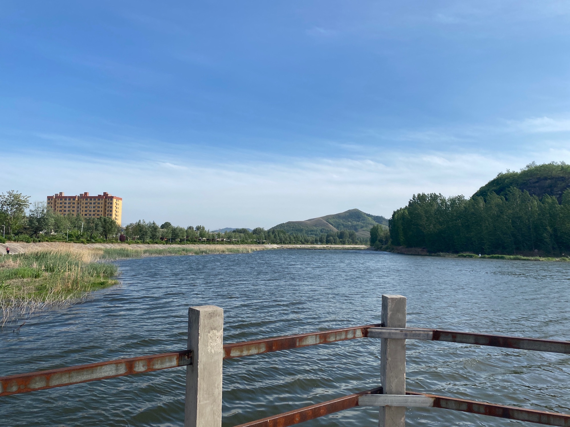 弥河源湿地公园旅行图片