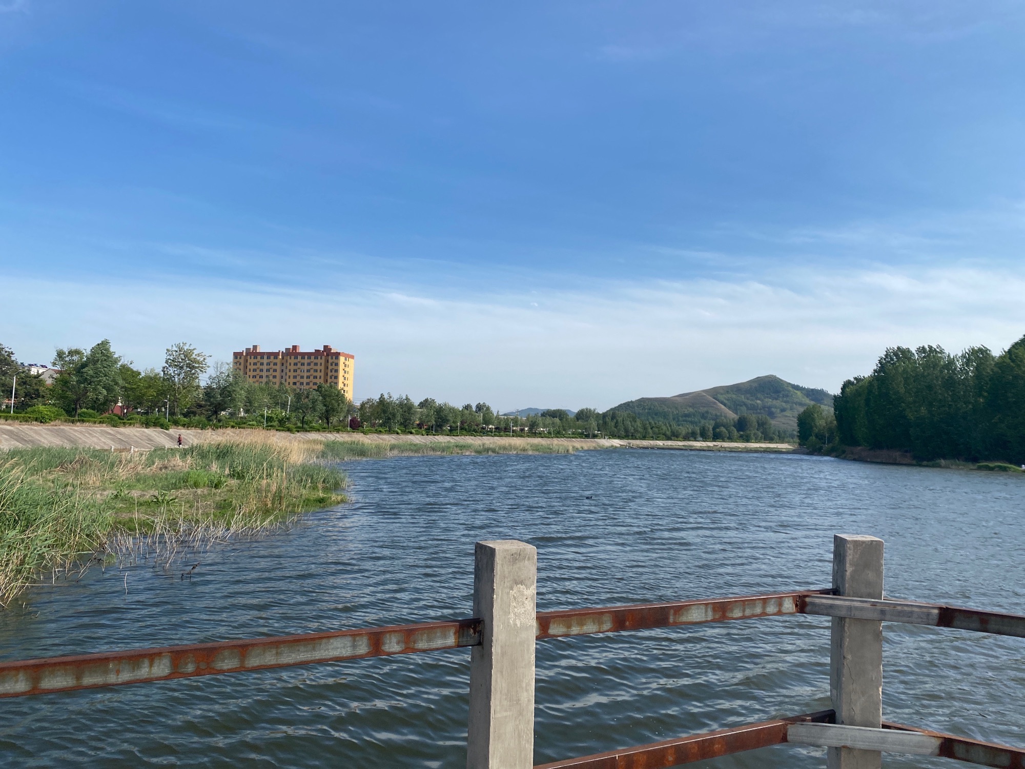 弥河源湿地公园旅行图片