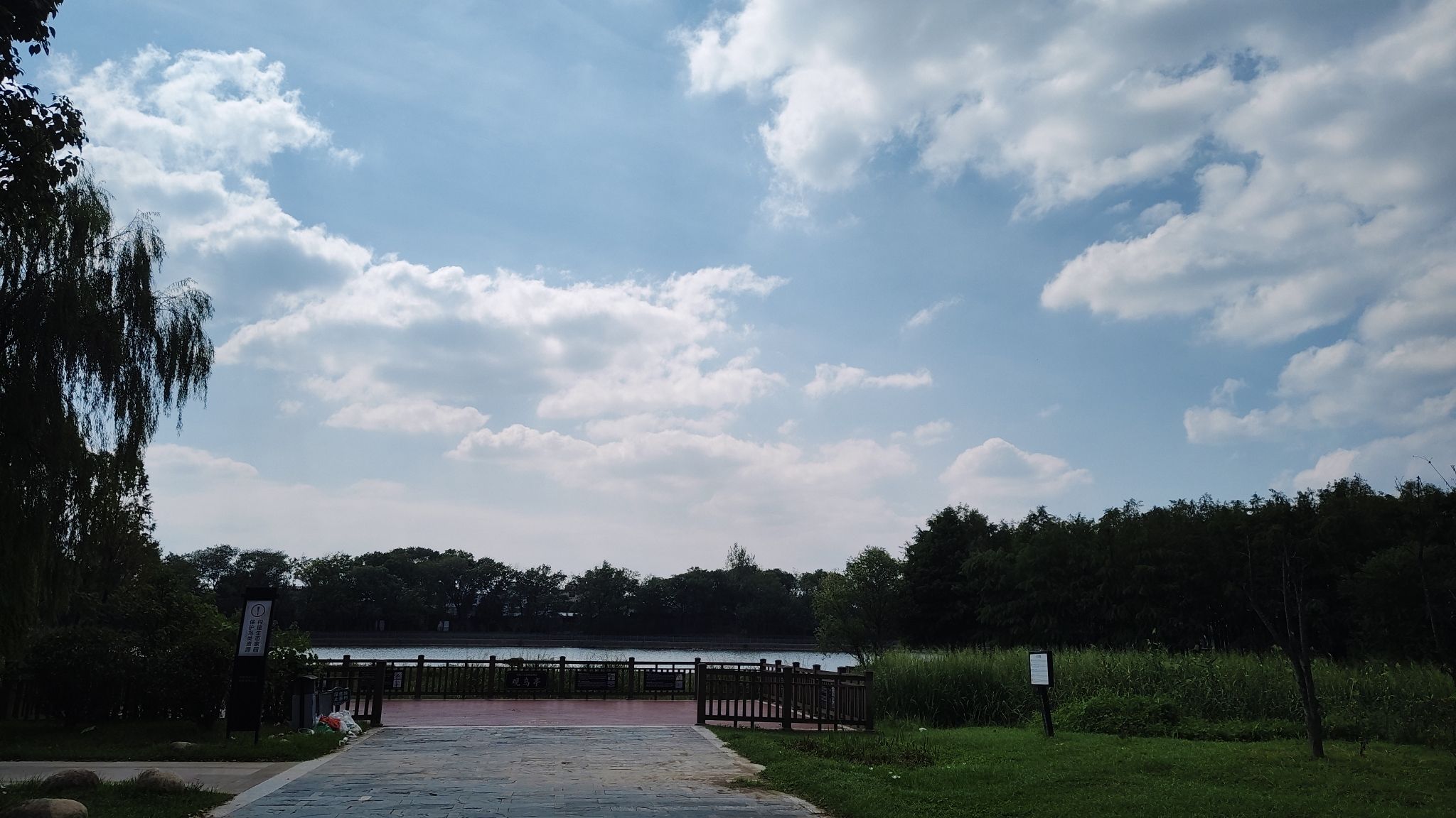 梅林生态湿地
