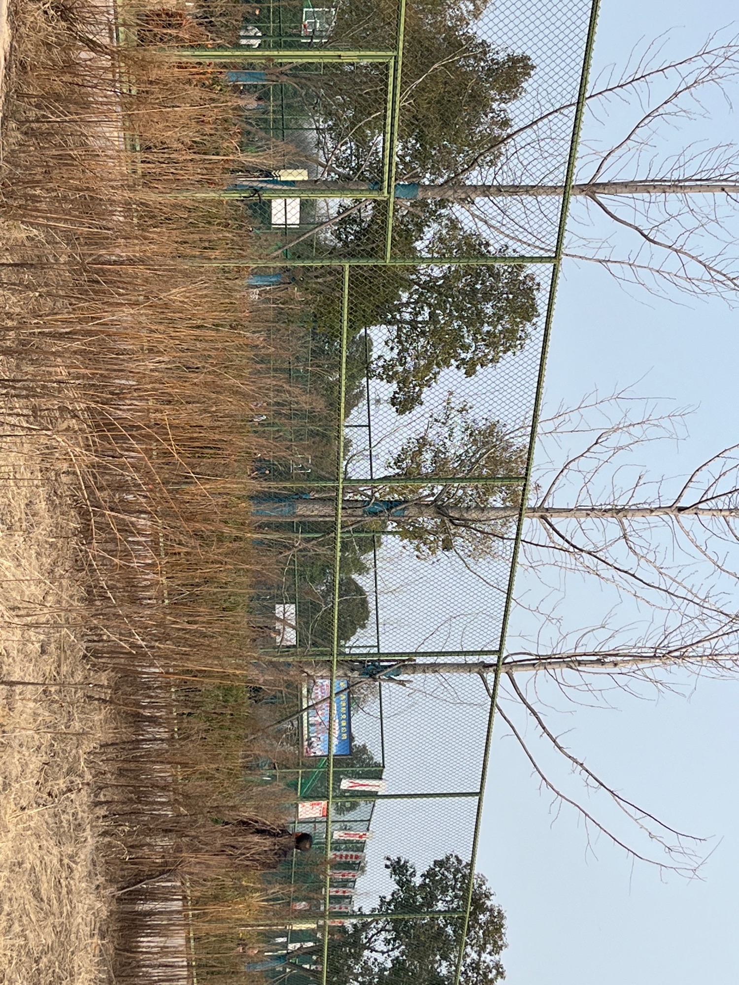 新城区奥林匹克主题公园