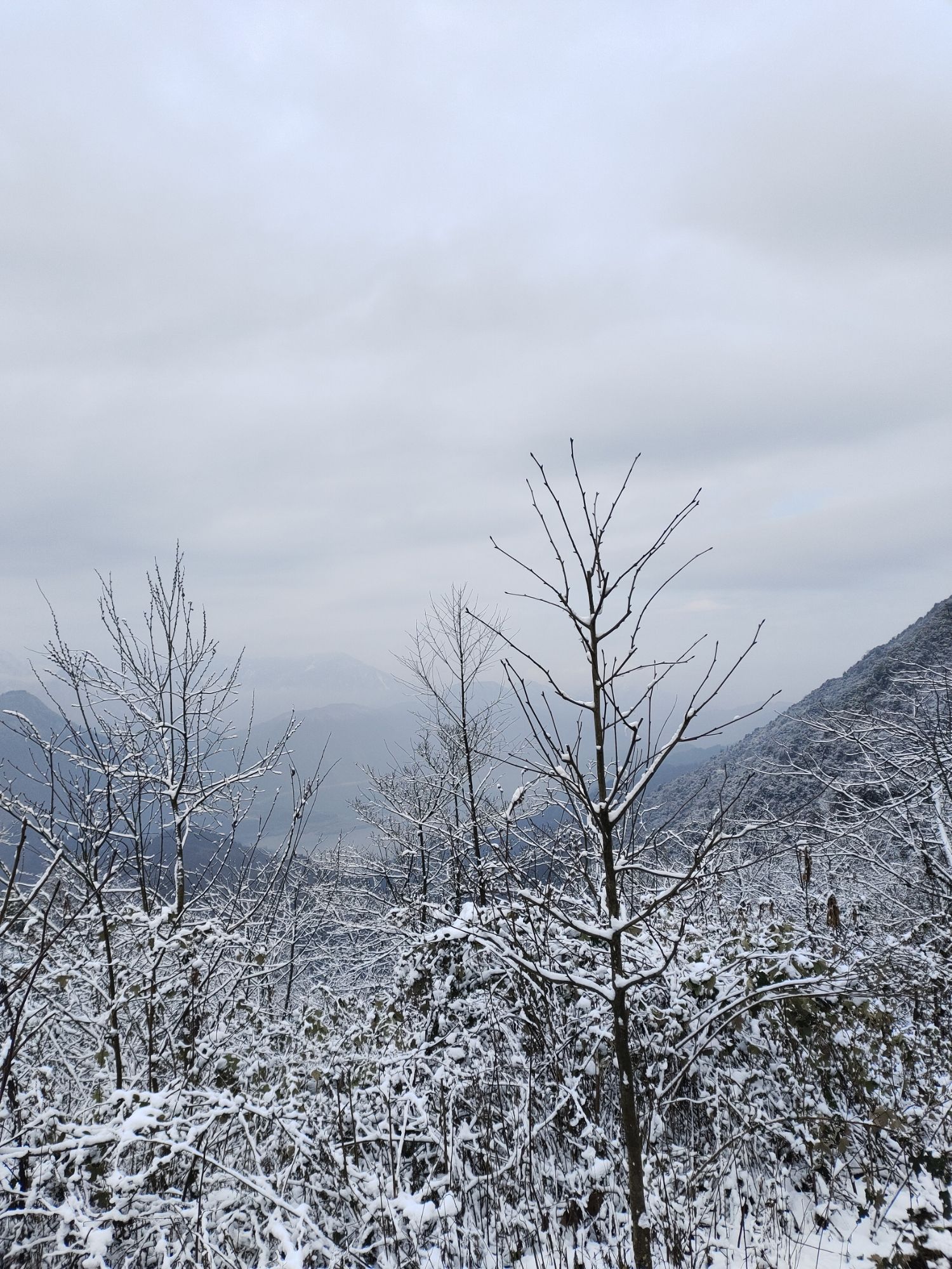 汶川无忧谷旅行图片