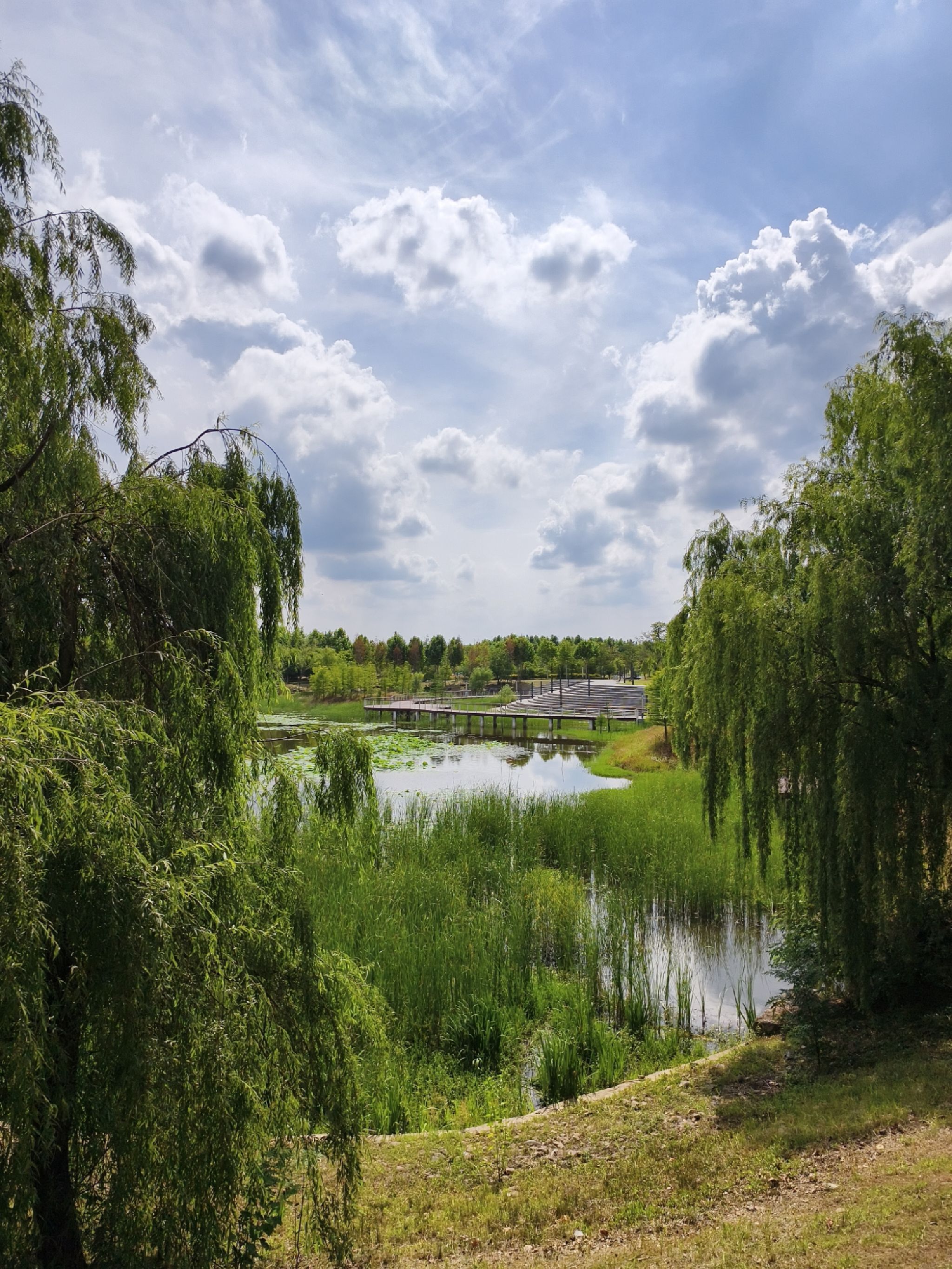 玉莲湖公园