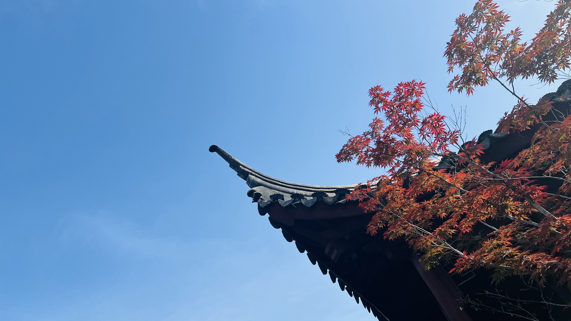 龙腰山公园