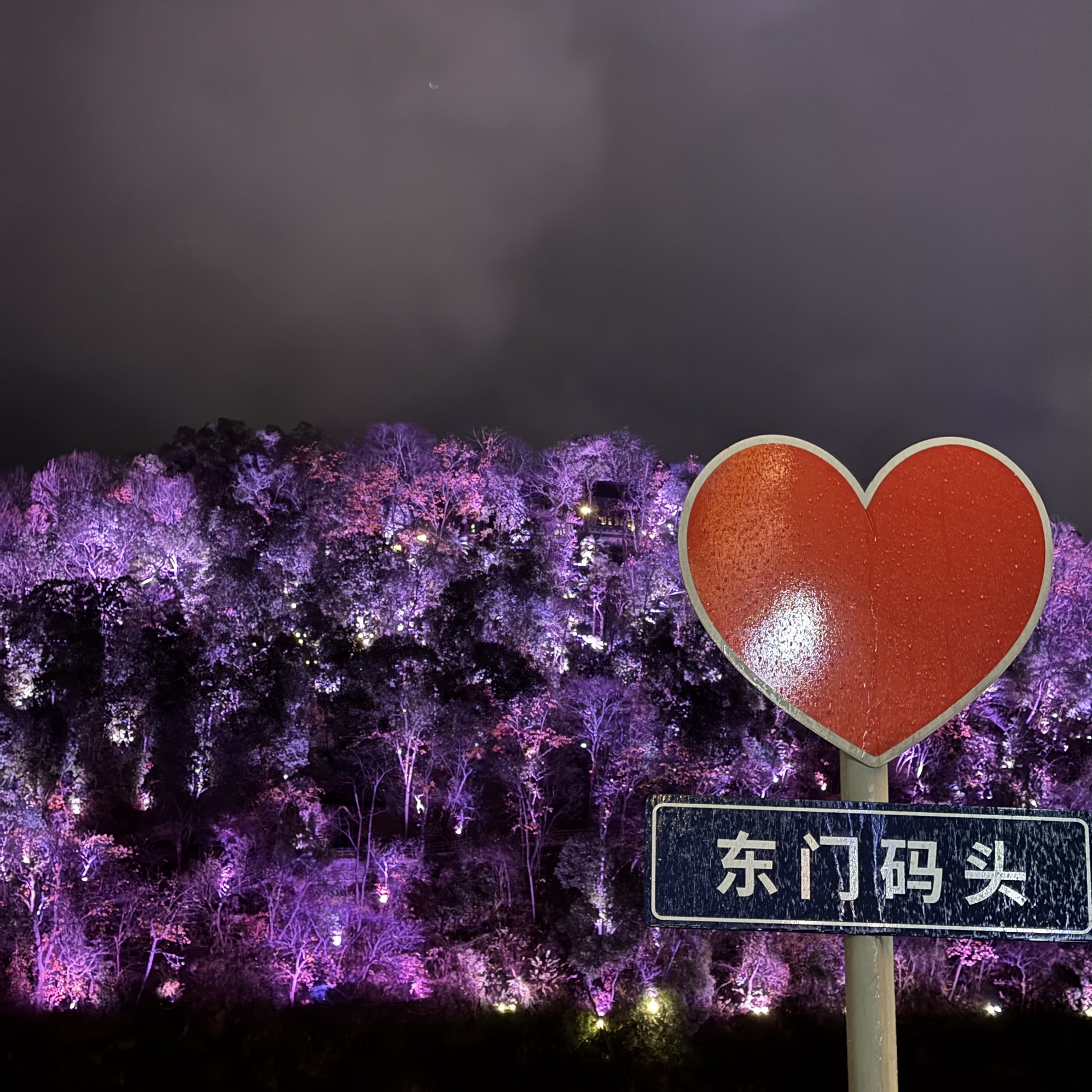 富春江夜游旅行图片