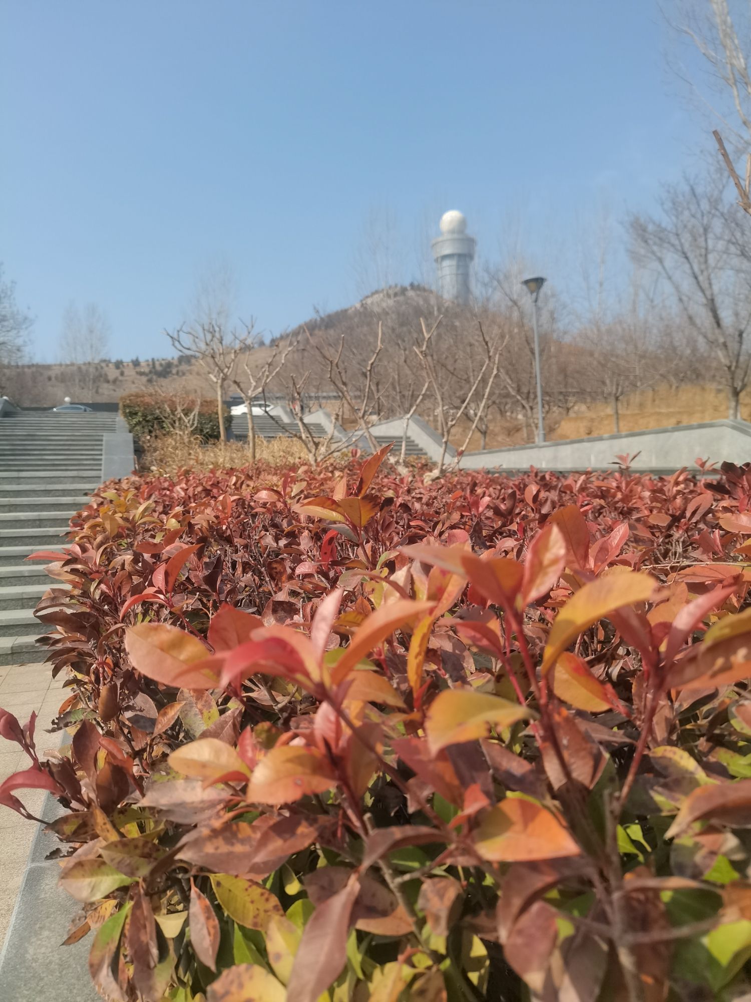 凤凰山公园