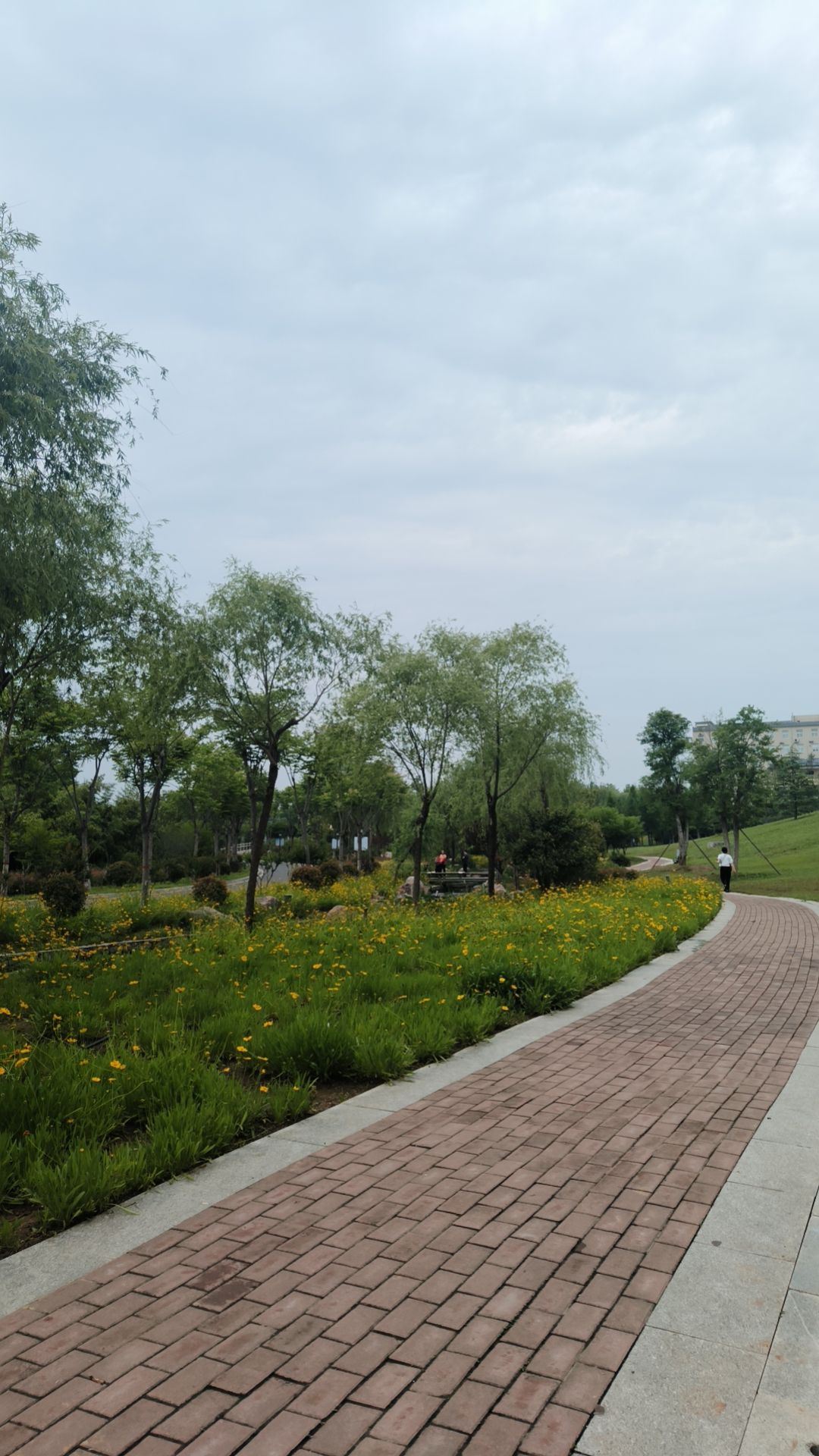 龙泉谷公园旅行图片