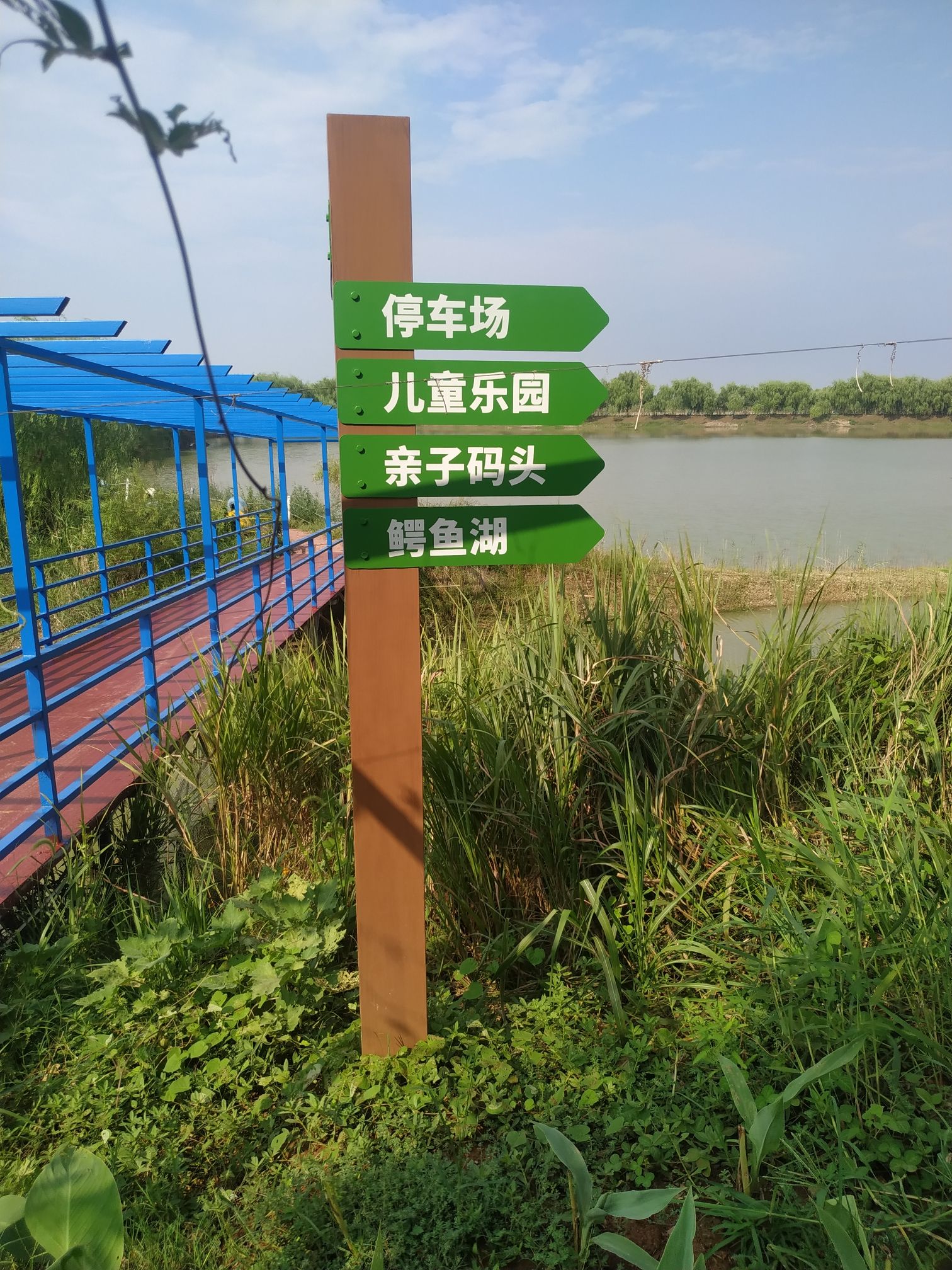 芜湖花桥鳄鱼湖湿地