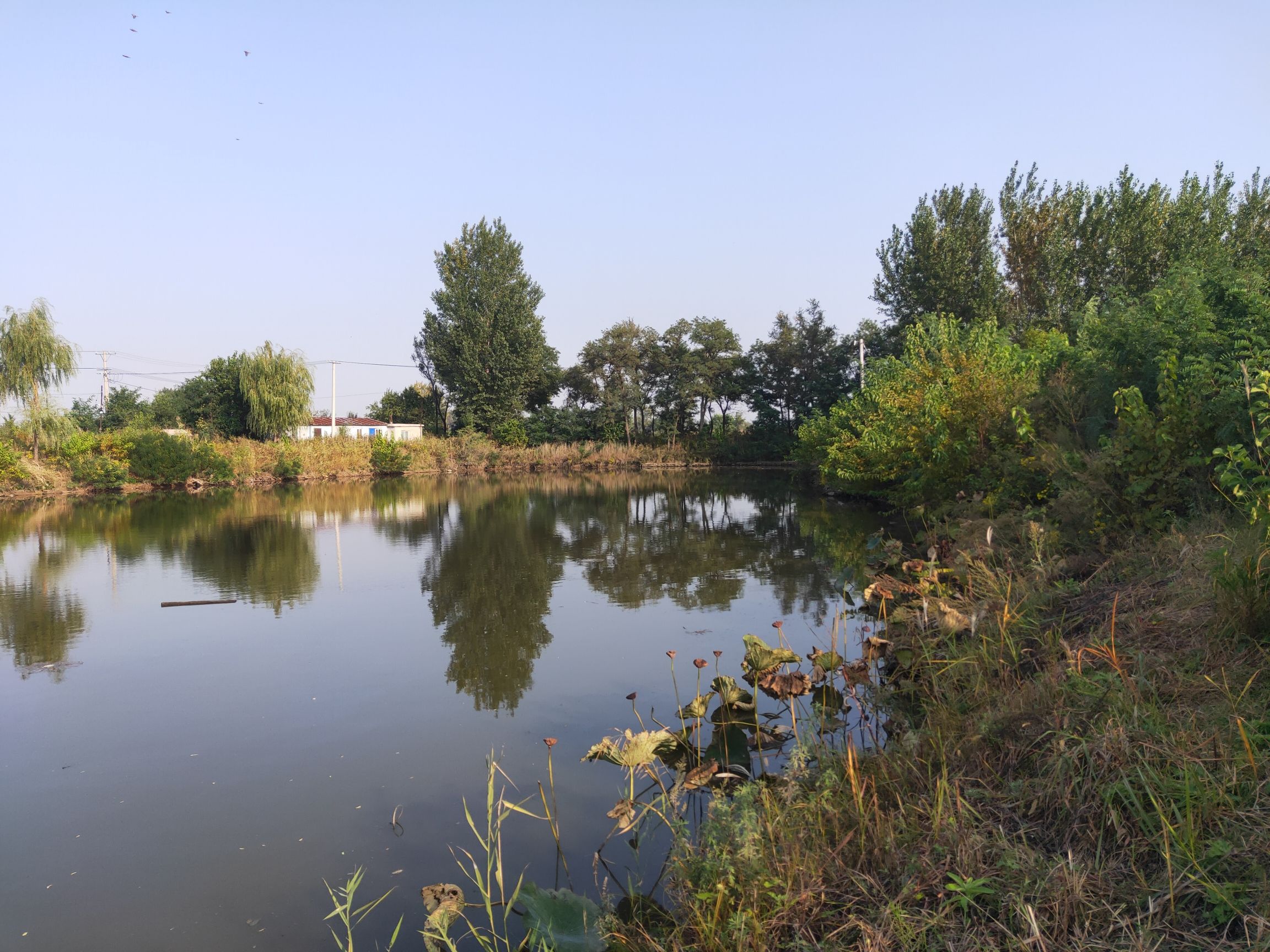 美凌湖公园