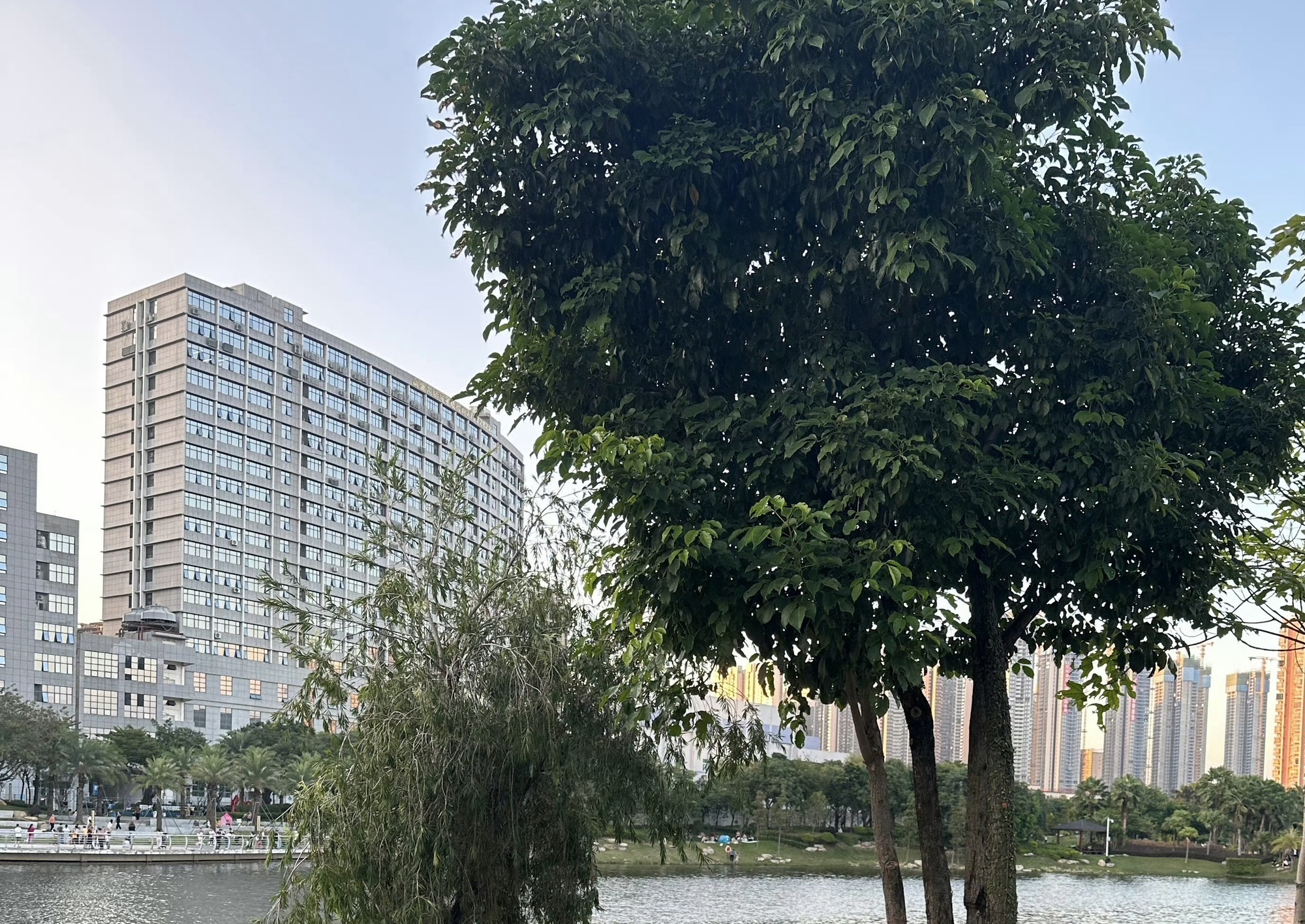 万丰湖湿地公园旅行图片