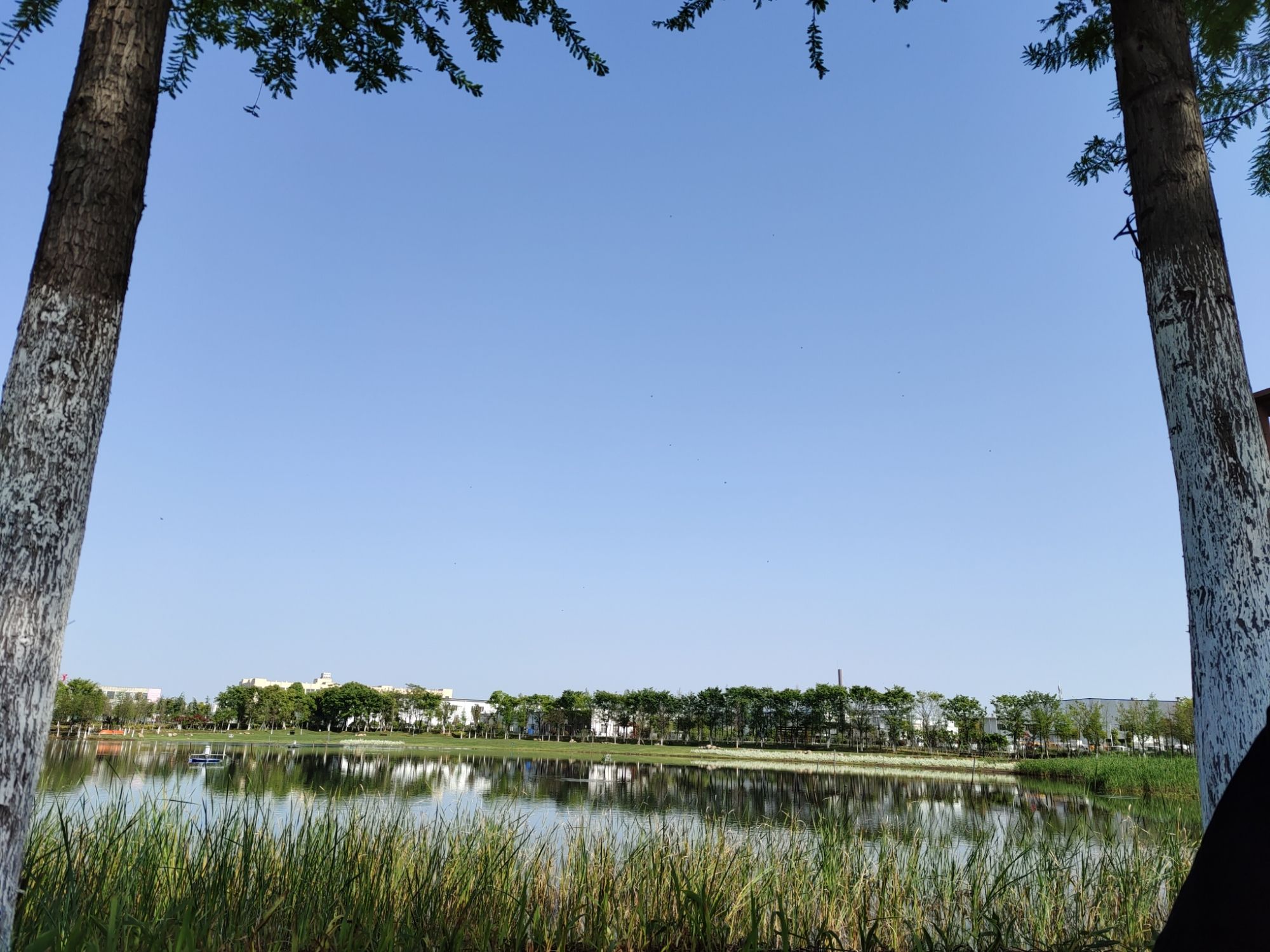 雁沙湖公园