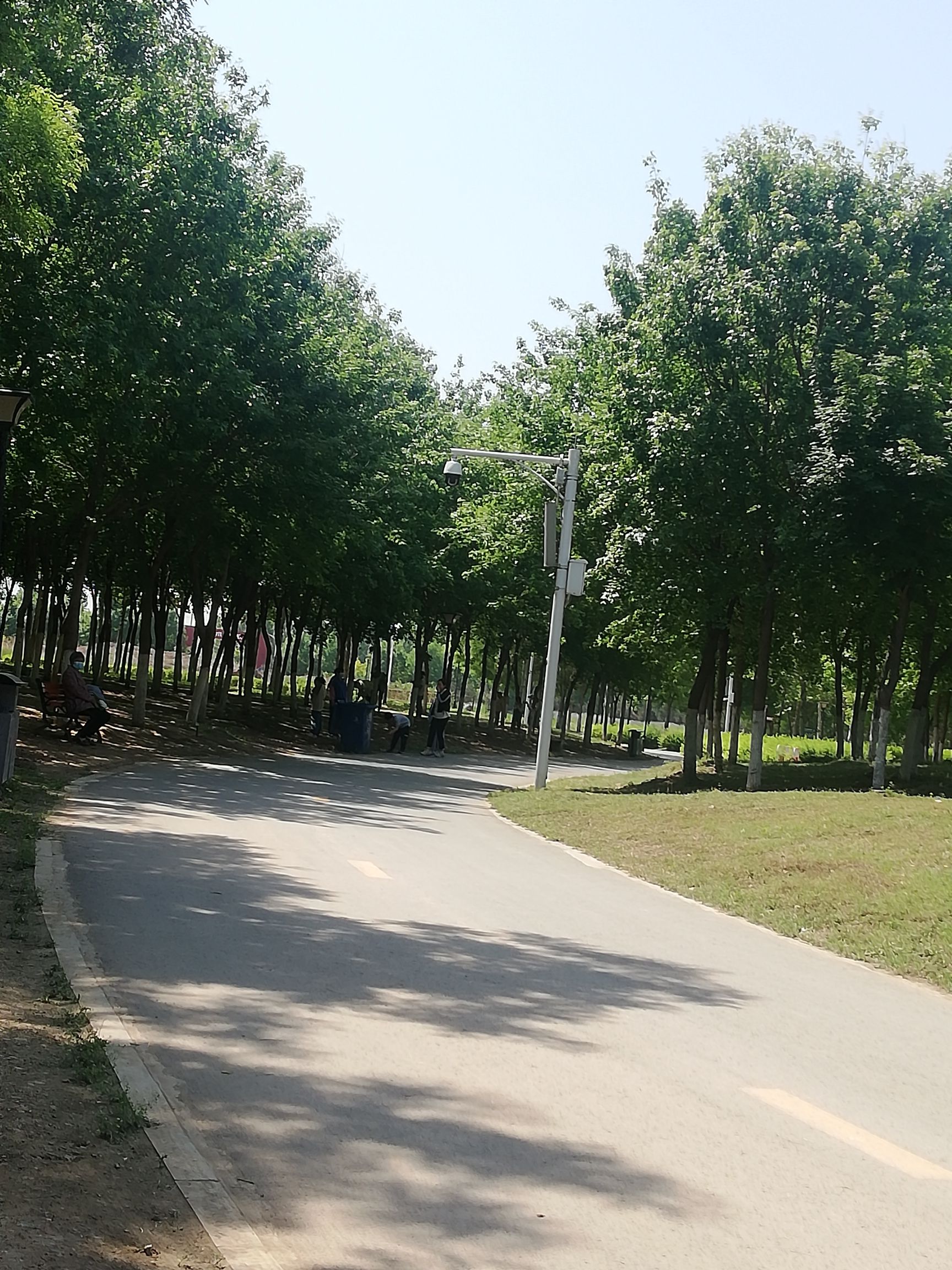 森林公园