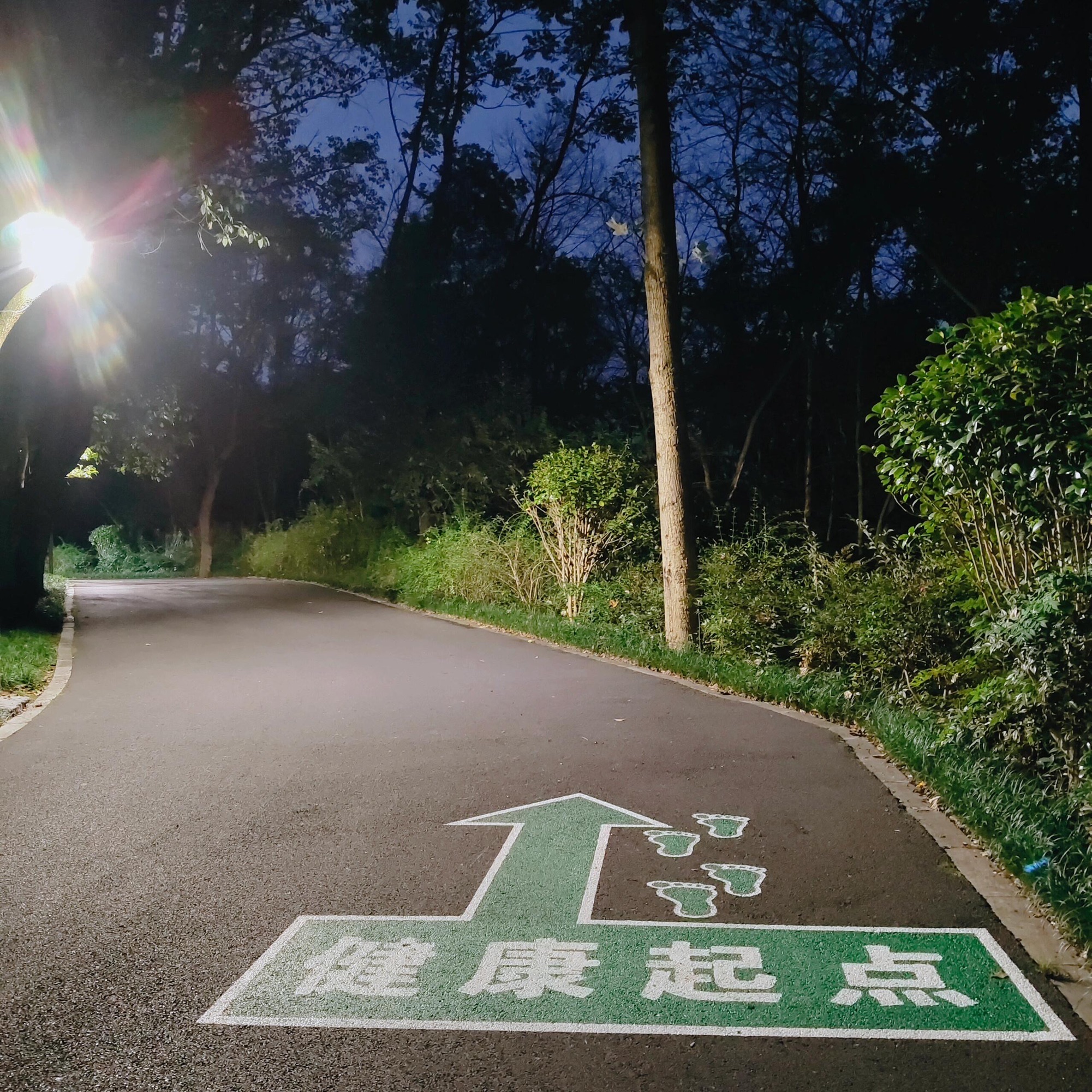 花果山公园旅行图片