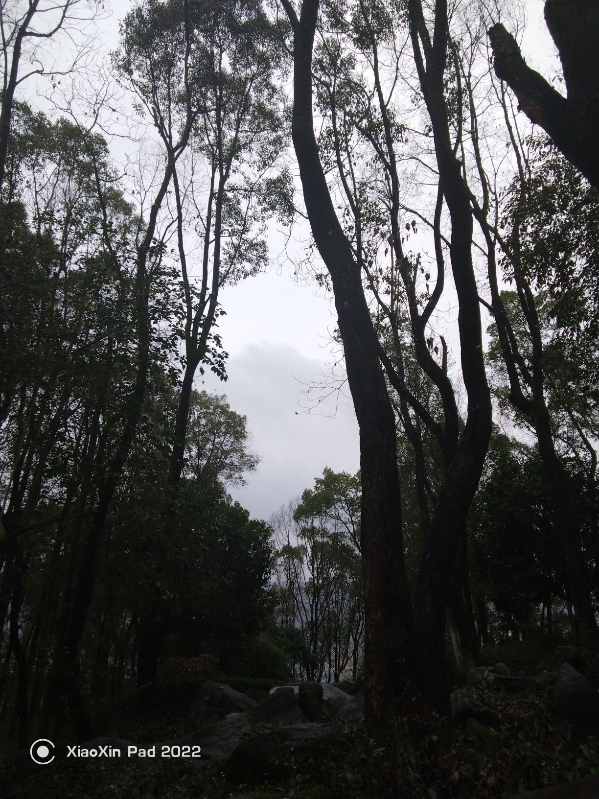 花果山公园旅行图片