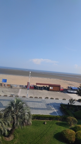 杭州湾贝壳自然保护区