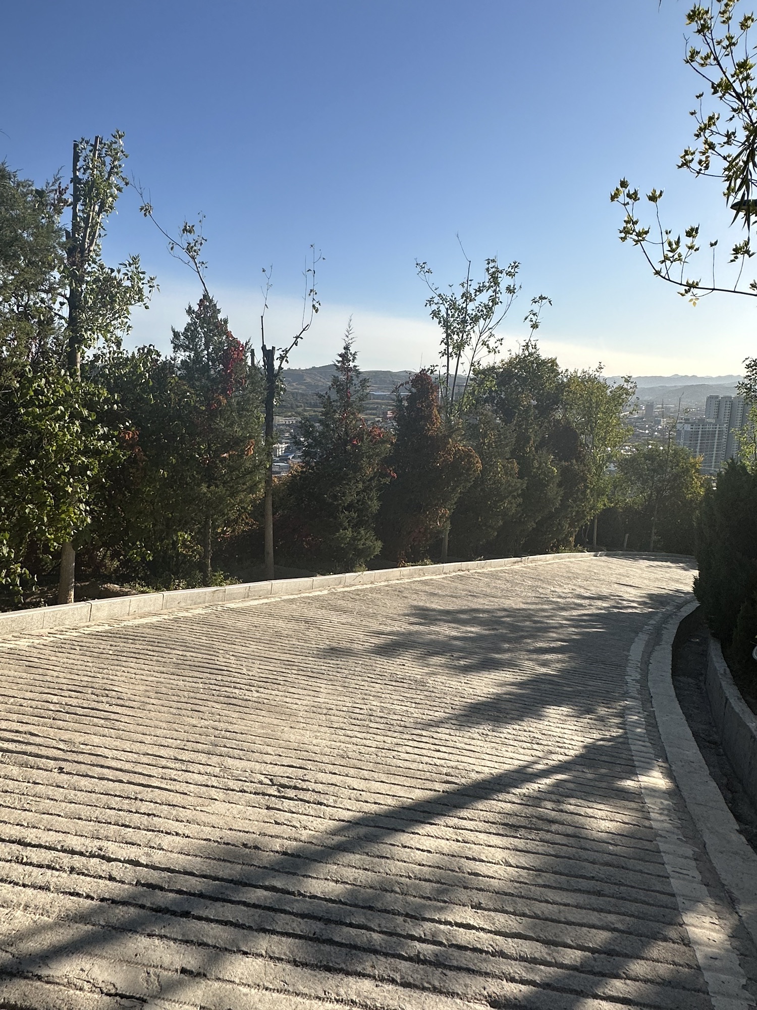 南山公园旅行图片