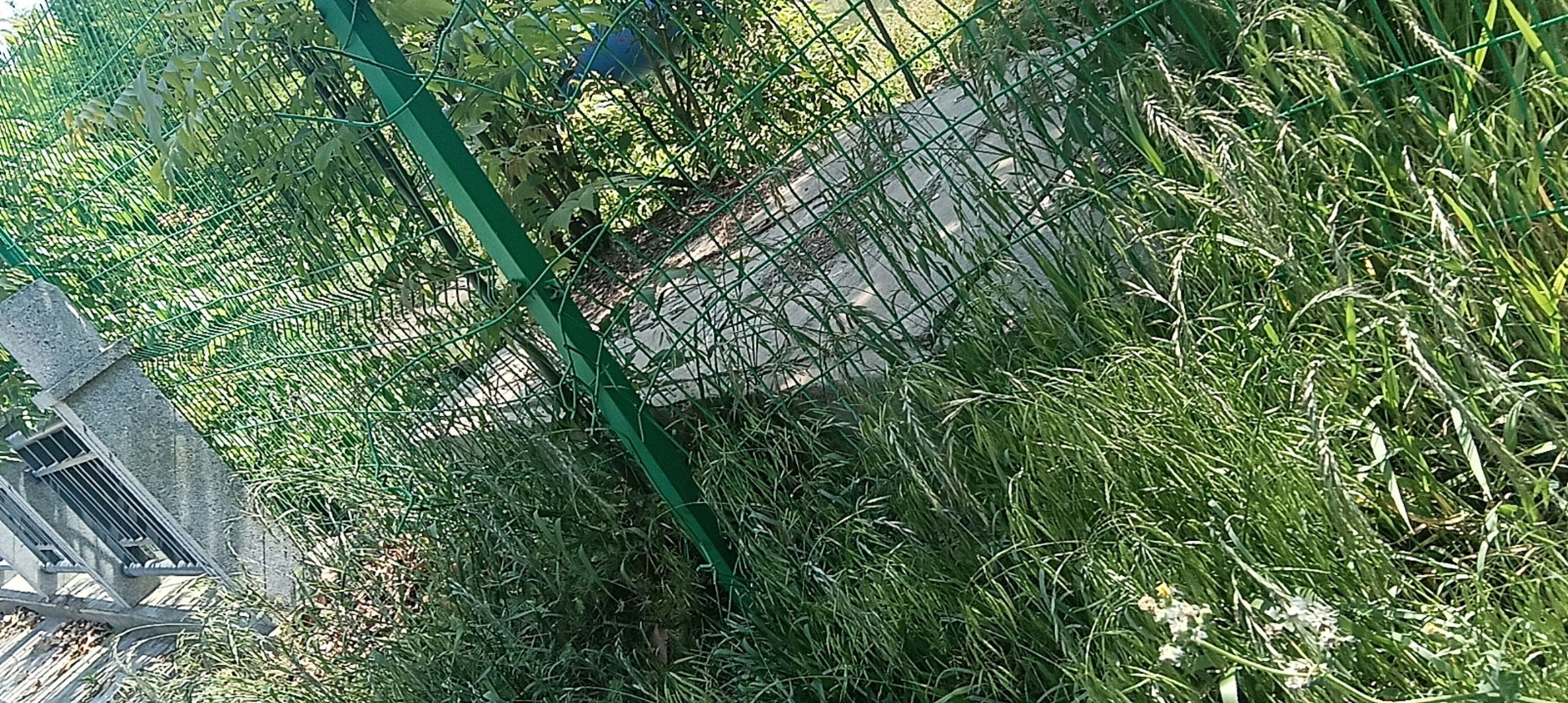 盐龙湖生态公园旅行图片