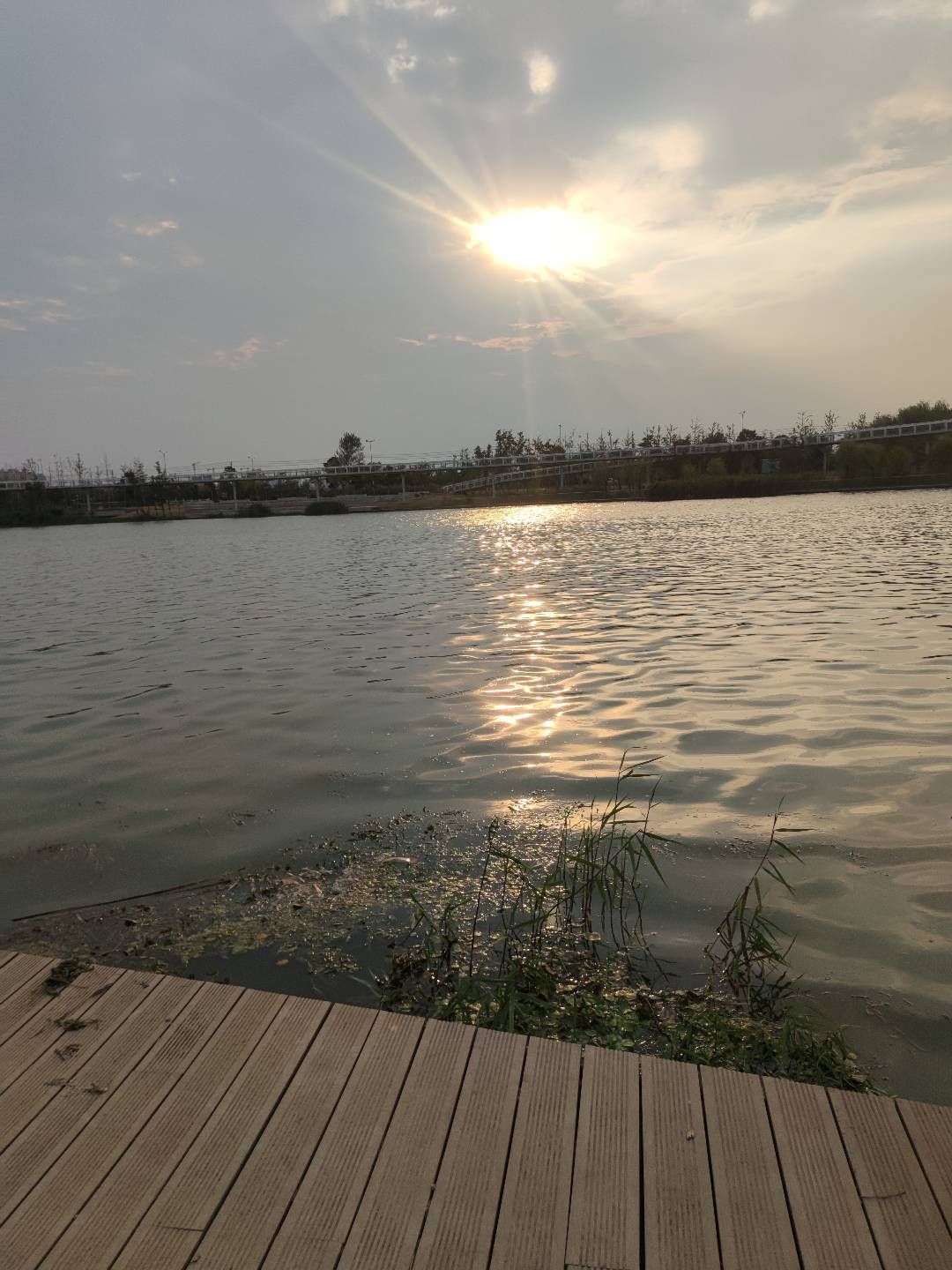杜诗公园