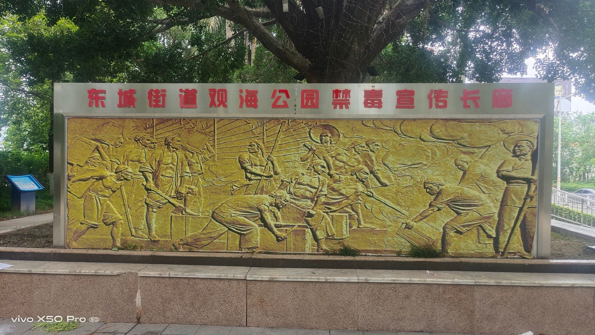 观海公园旅行图片