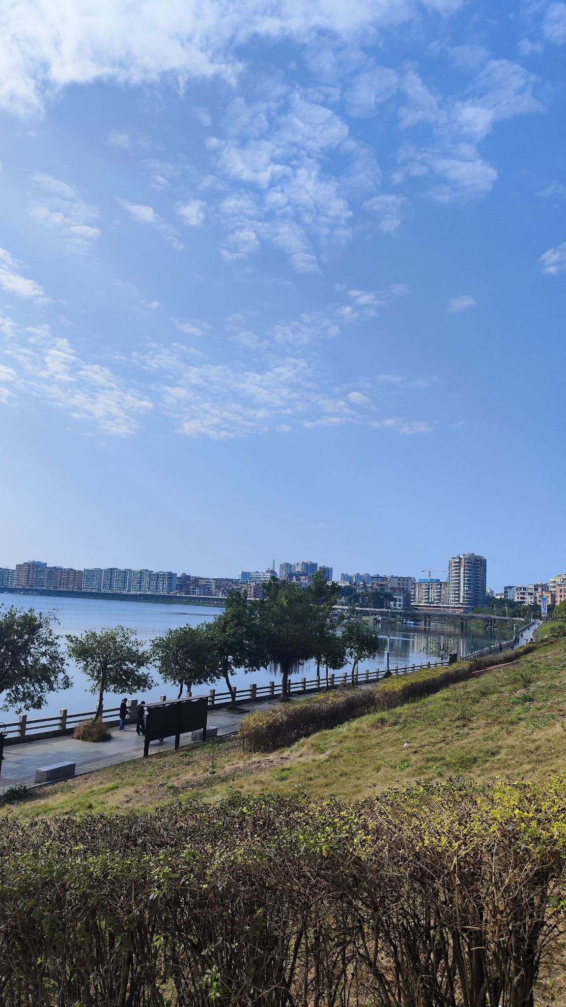 观海公园旅行图片