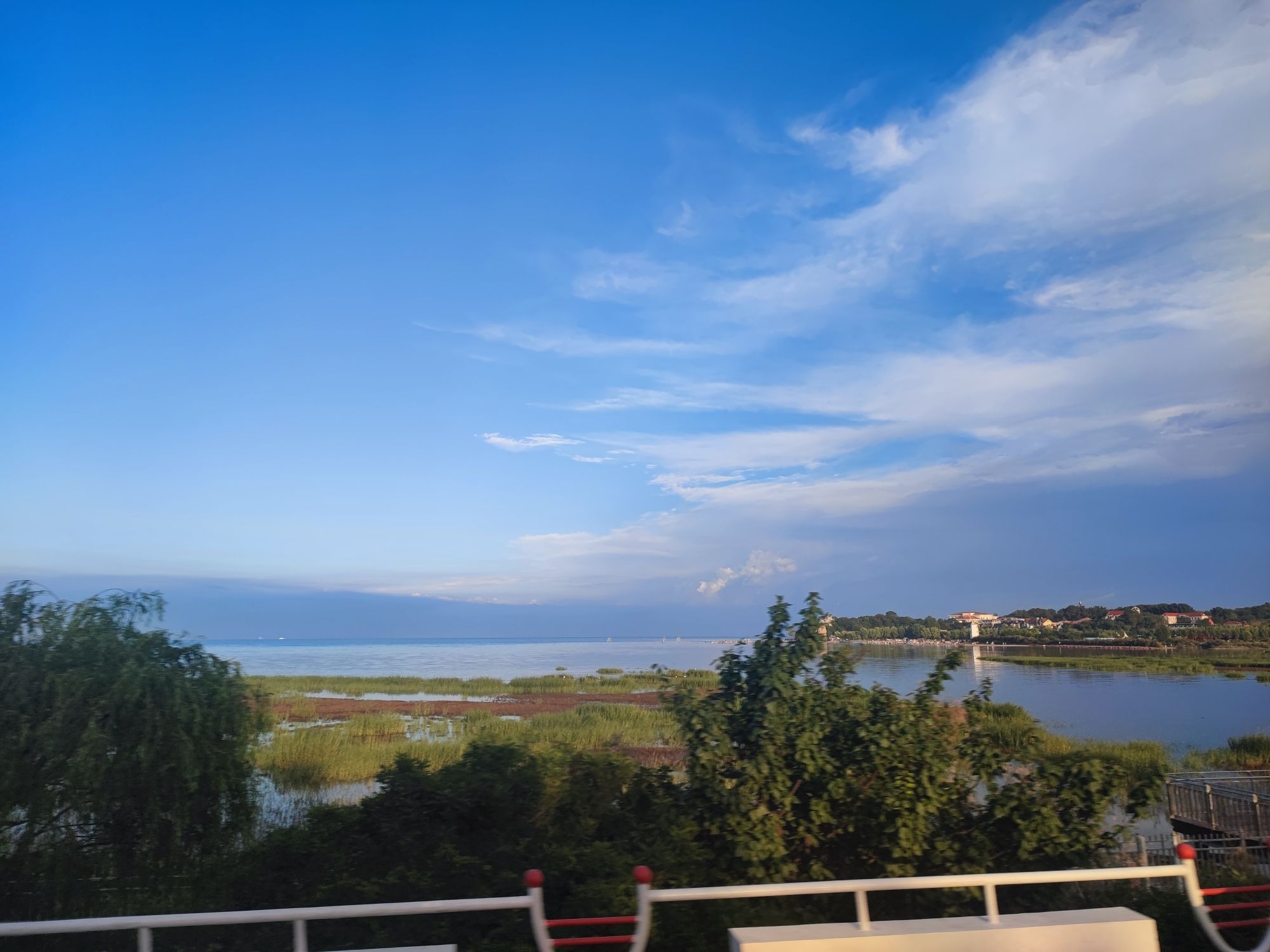 观鸟湿地