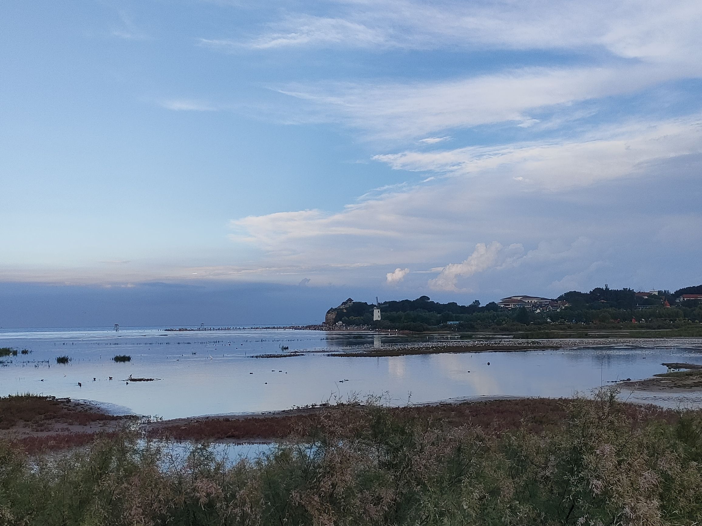 观鸟湿地旅行图片