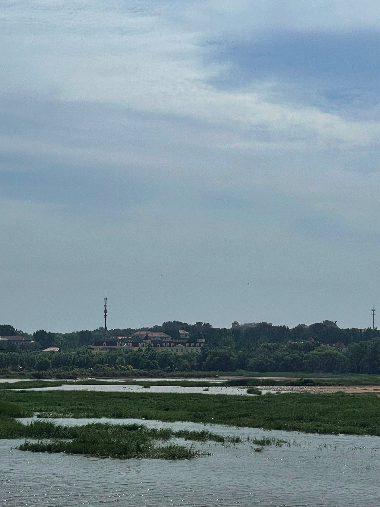 观鸟湿地旅行图片