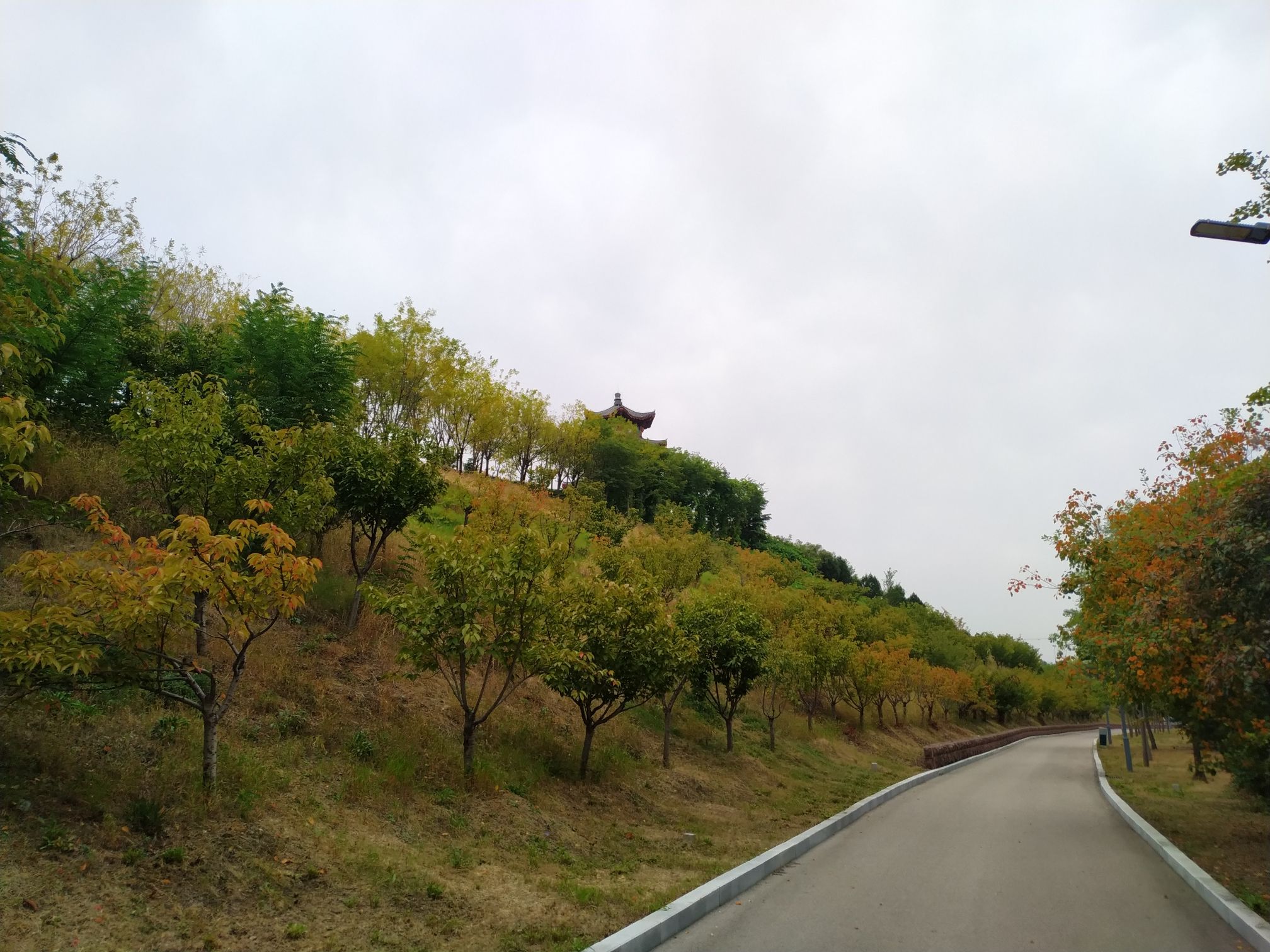 中央公园旅行图片
