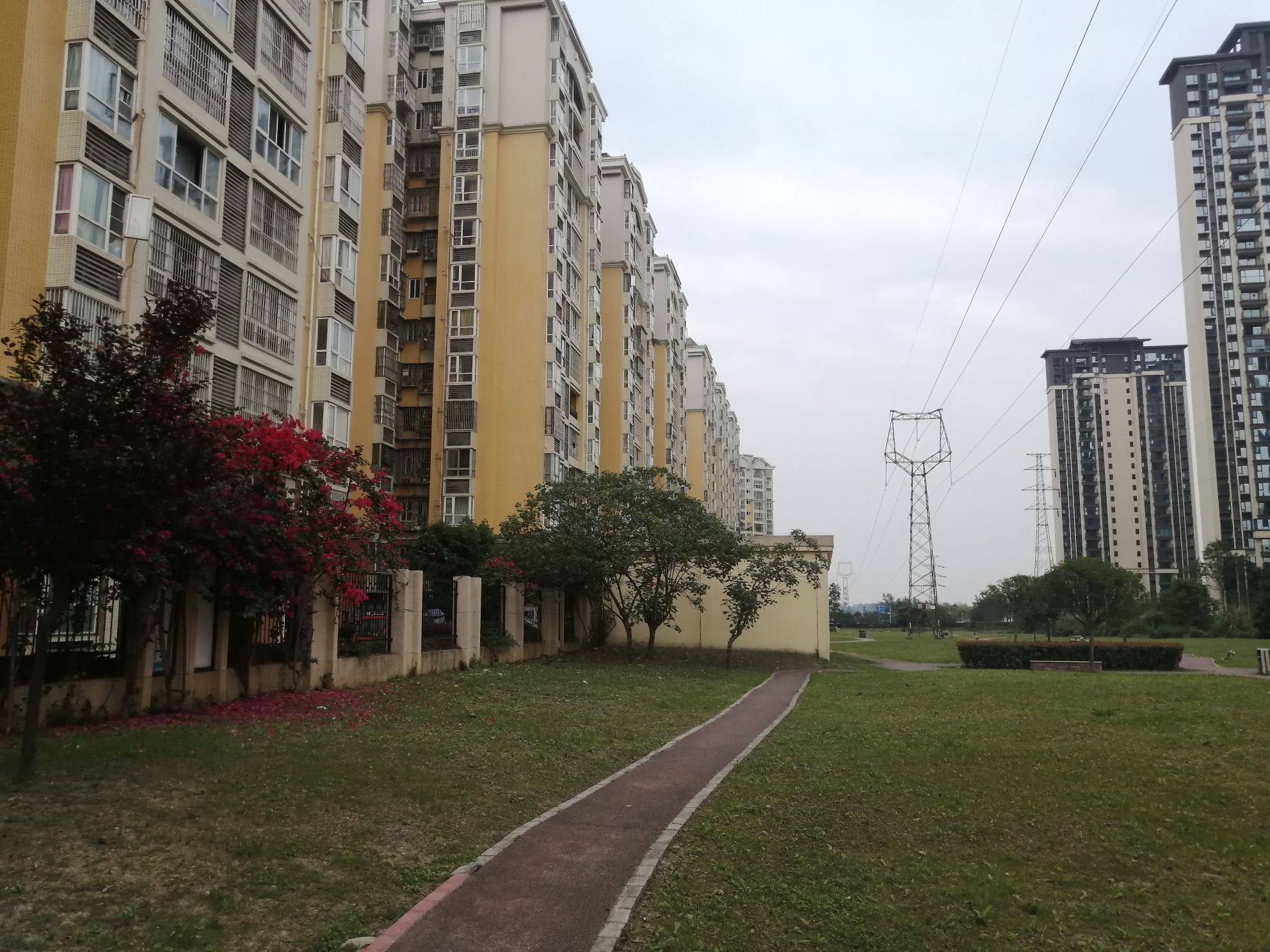 杨柳社区公园