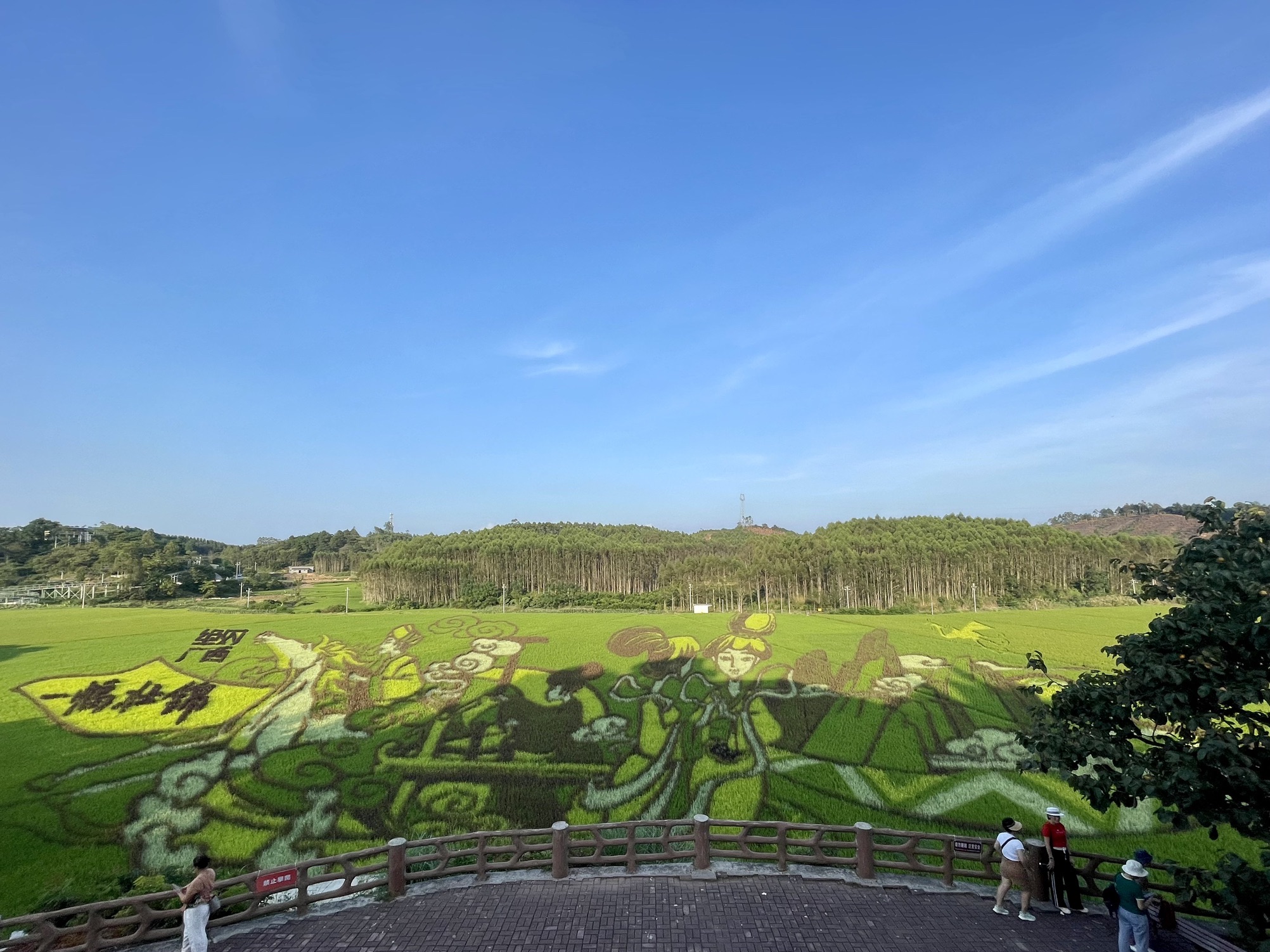 稻花香里旅游区