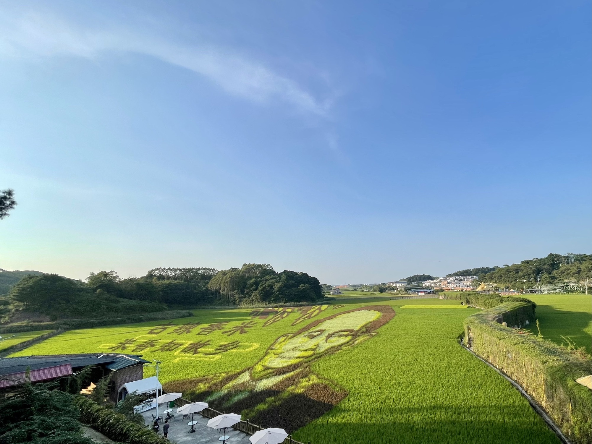 稻花香里旅游区旅行图片