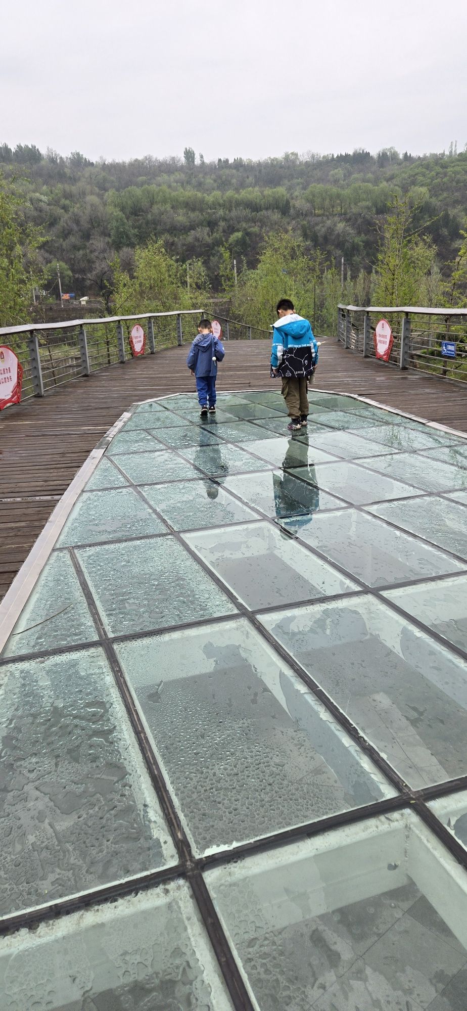 五渡湿地公园旅行图片