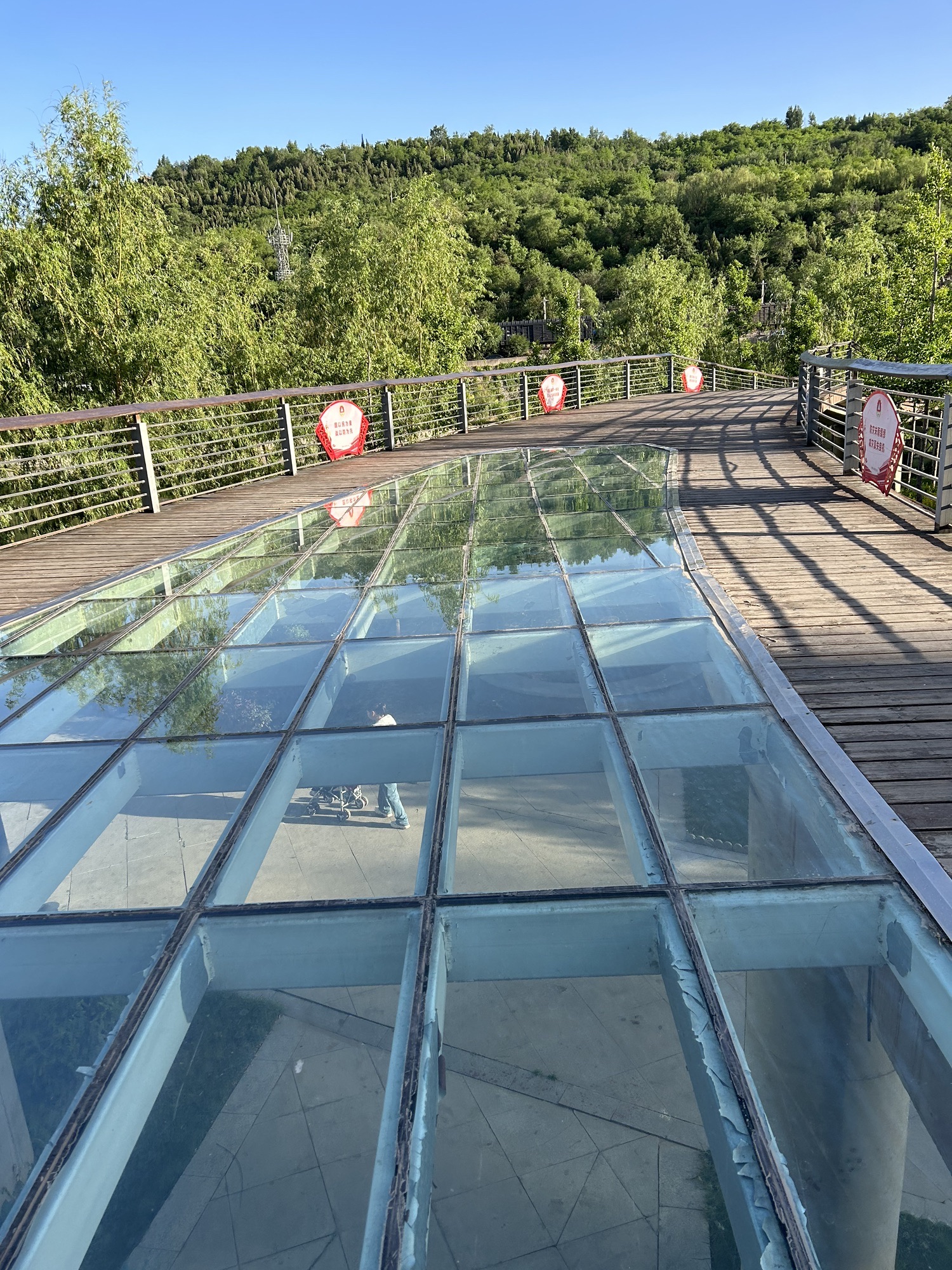 五渡湿地公园旅行图片