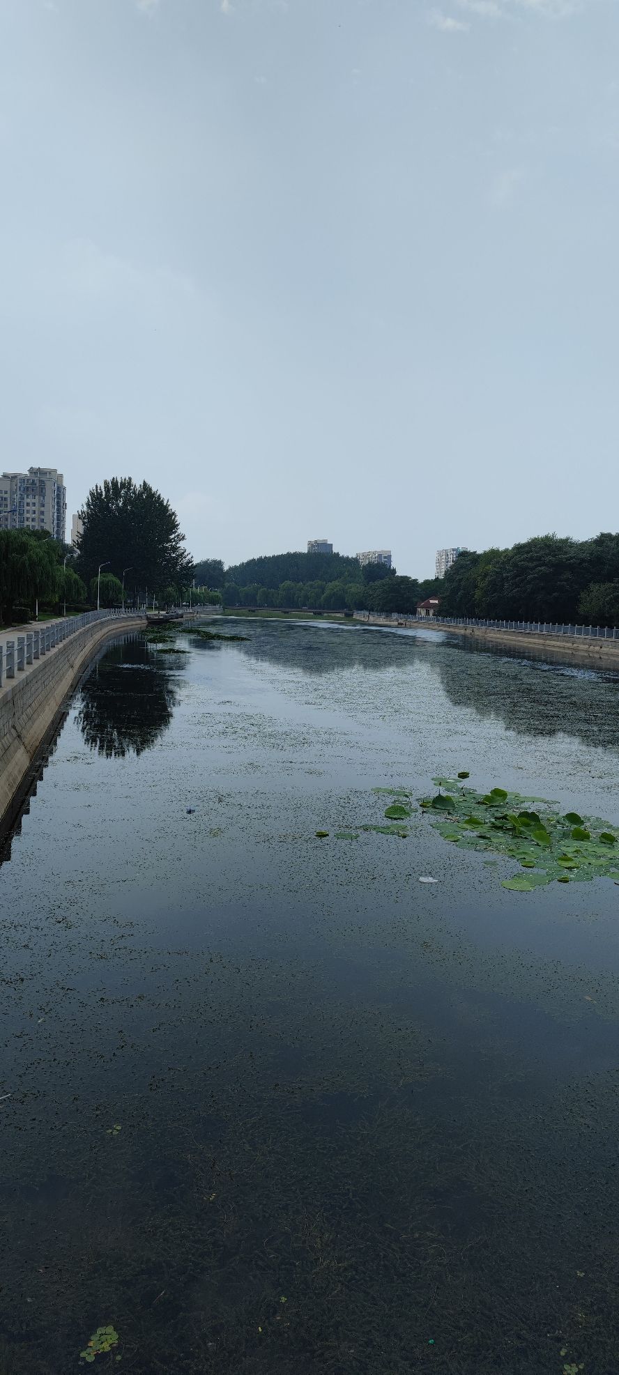金州北大河公园