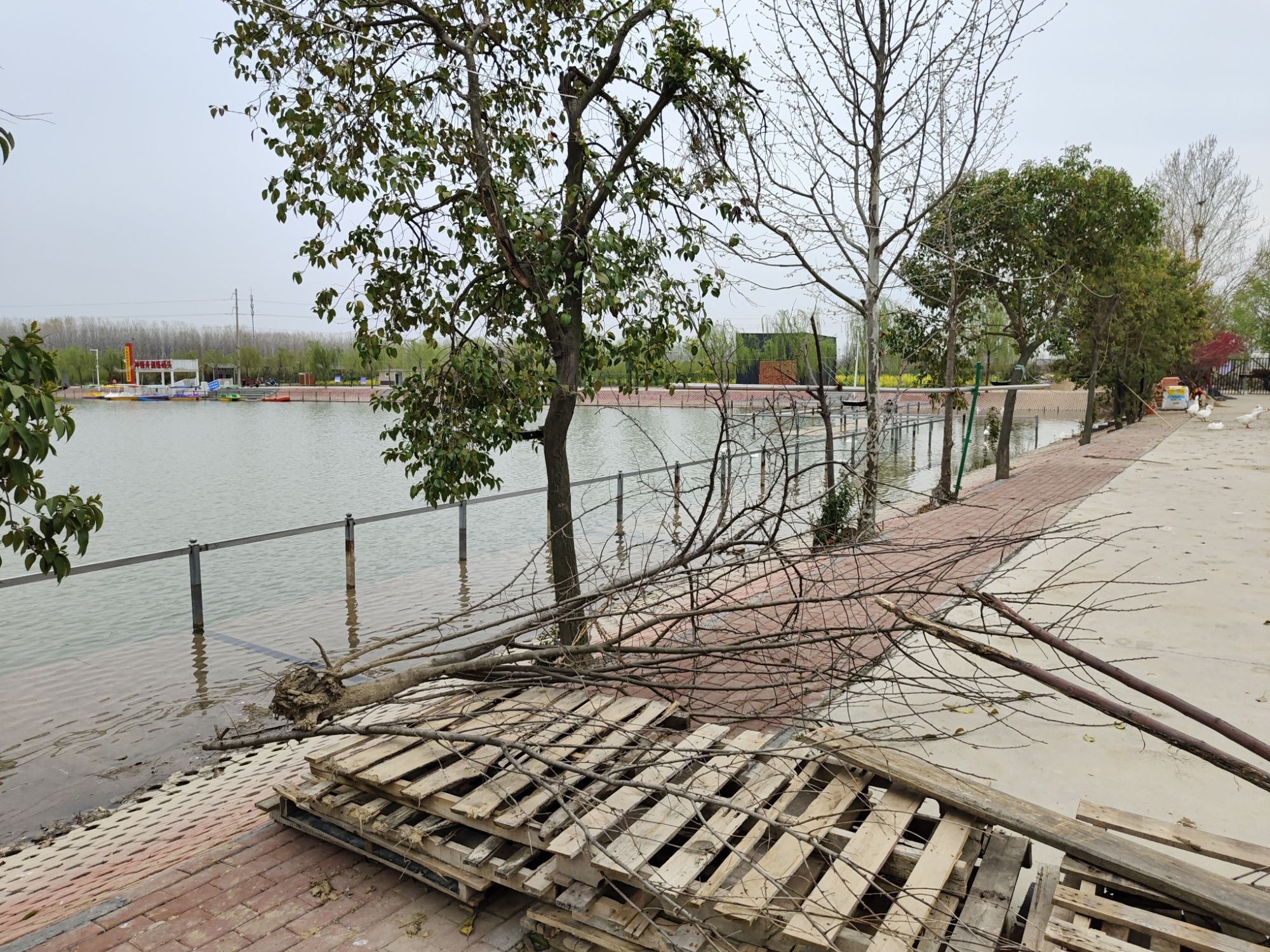 豫南百花谷风景区