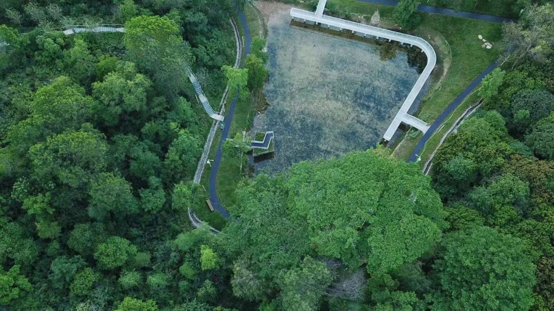 大目湾中心绿地旅行图片