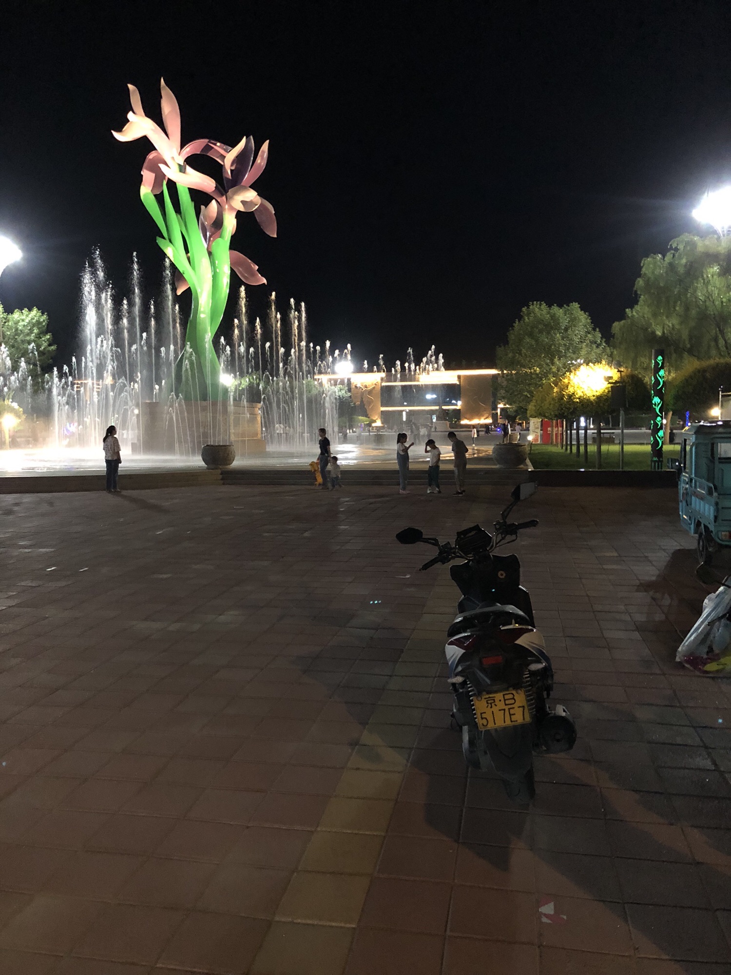 马兰花广场旅行图片