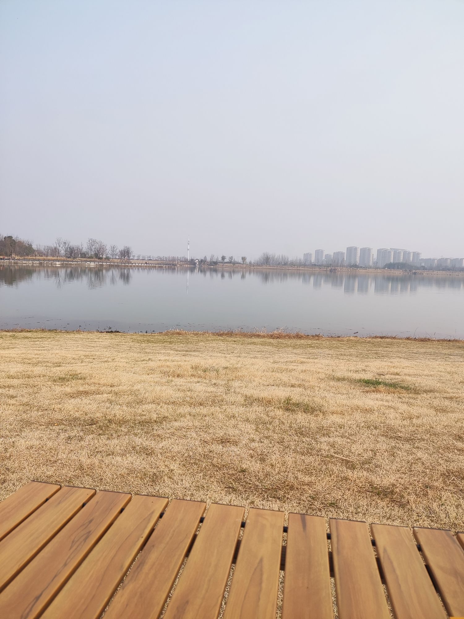 少荃湖公园旅行图片