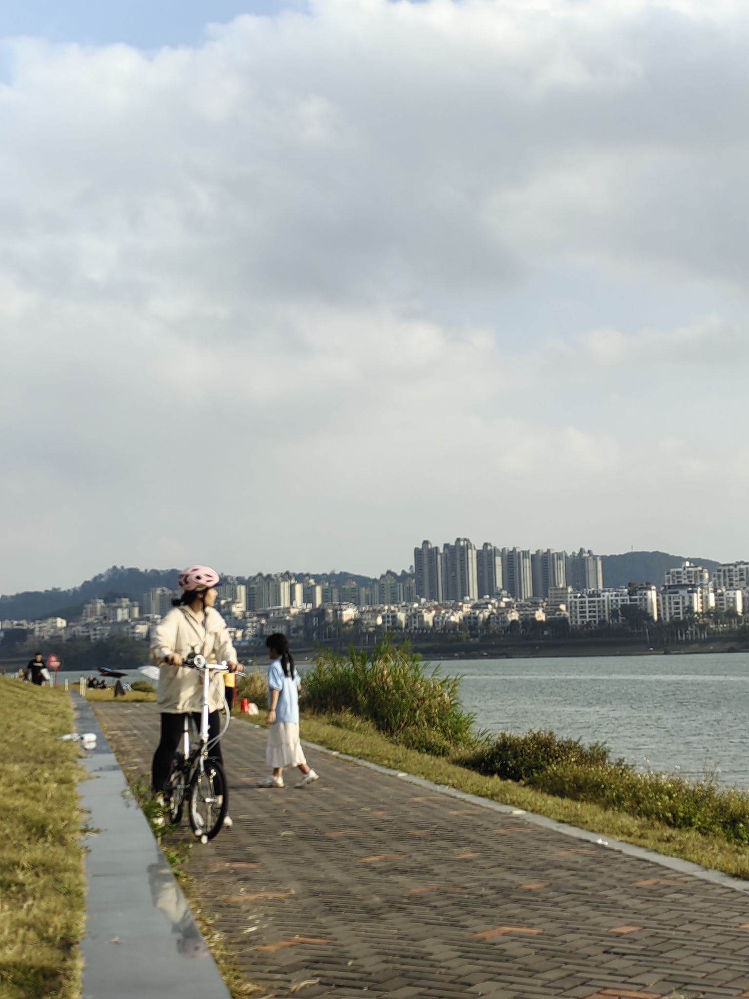 柳沙公园