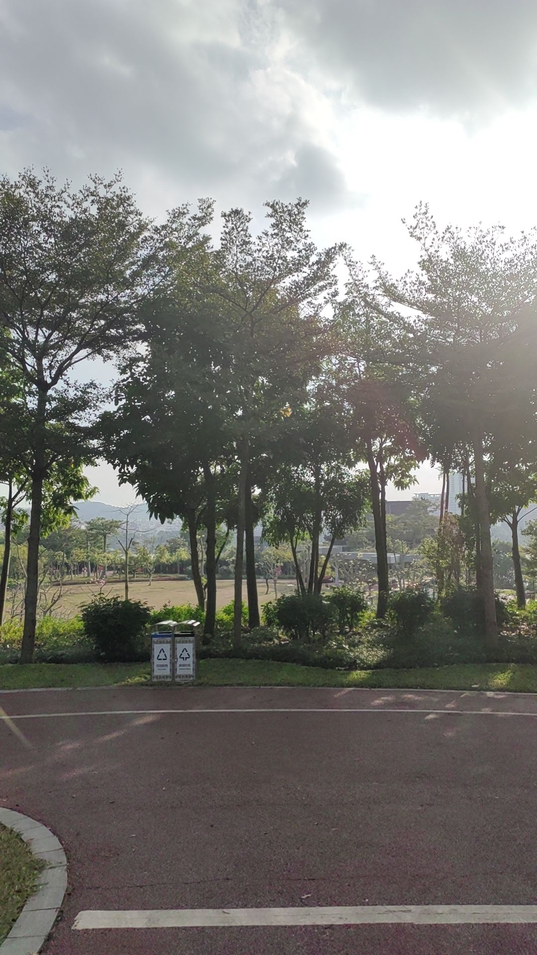柳沙公园旅行图片
