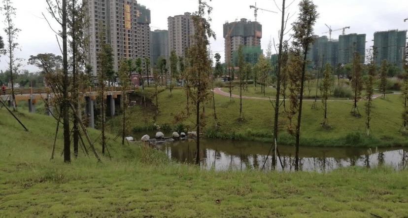 滨河公园