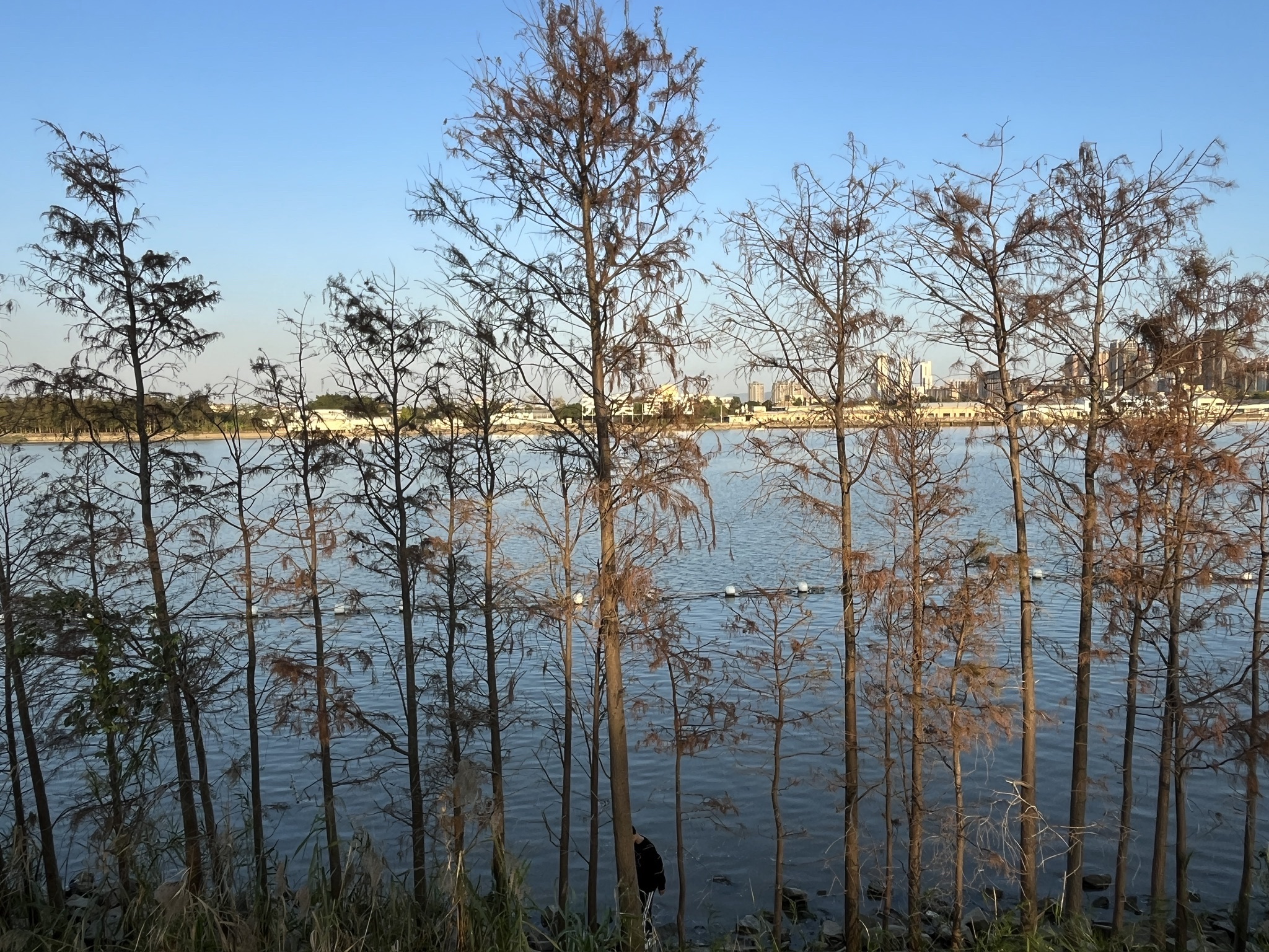 黄杨河湿地公园