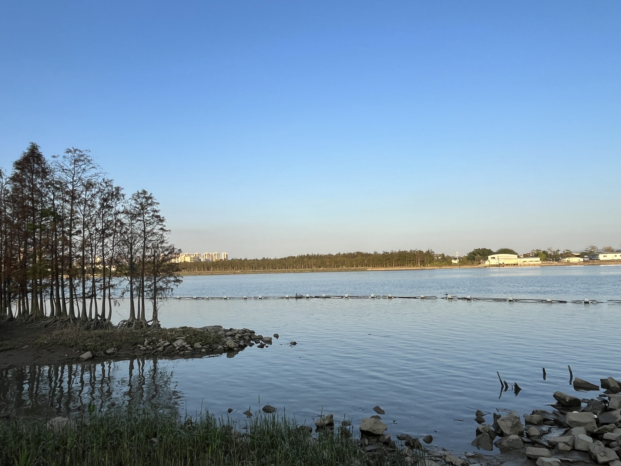 黄杨河湿地公园旅行图片
