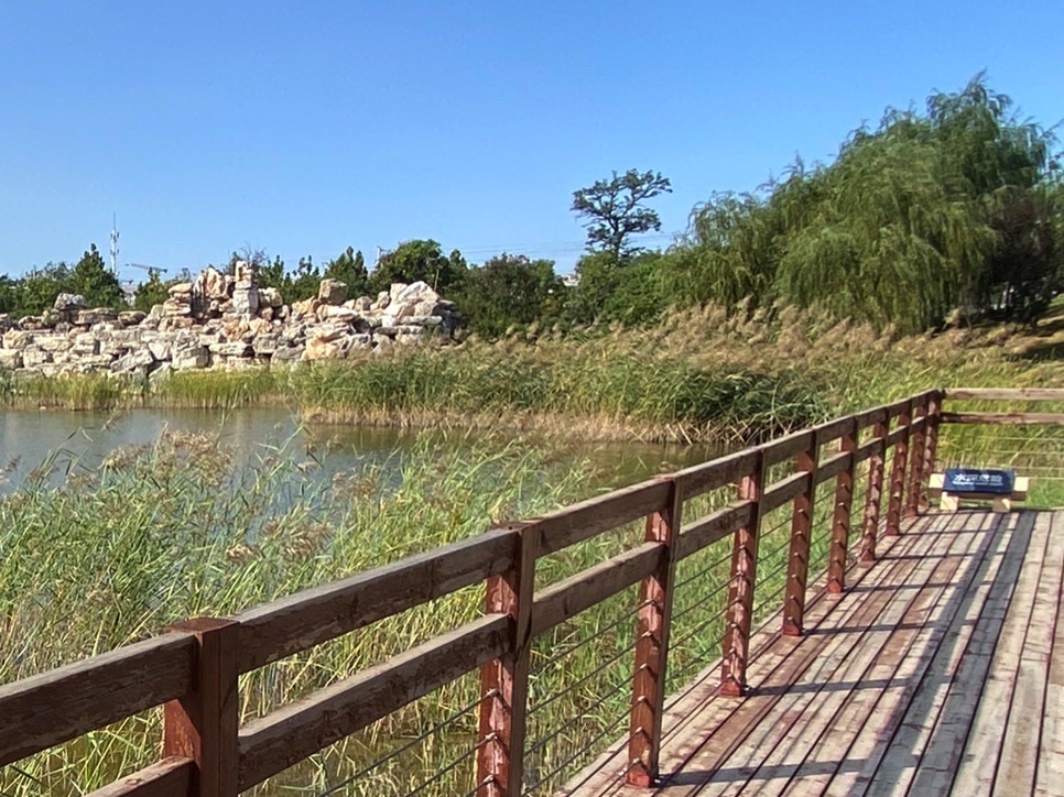 黑桥公园旅行图片